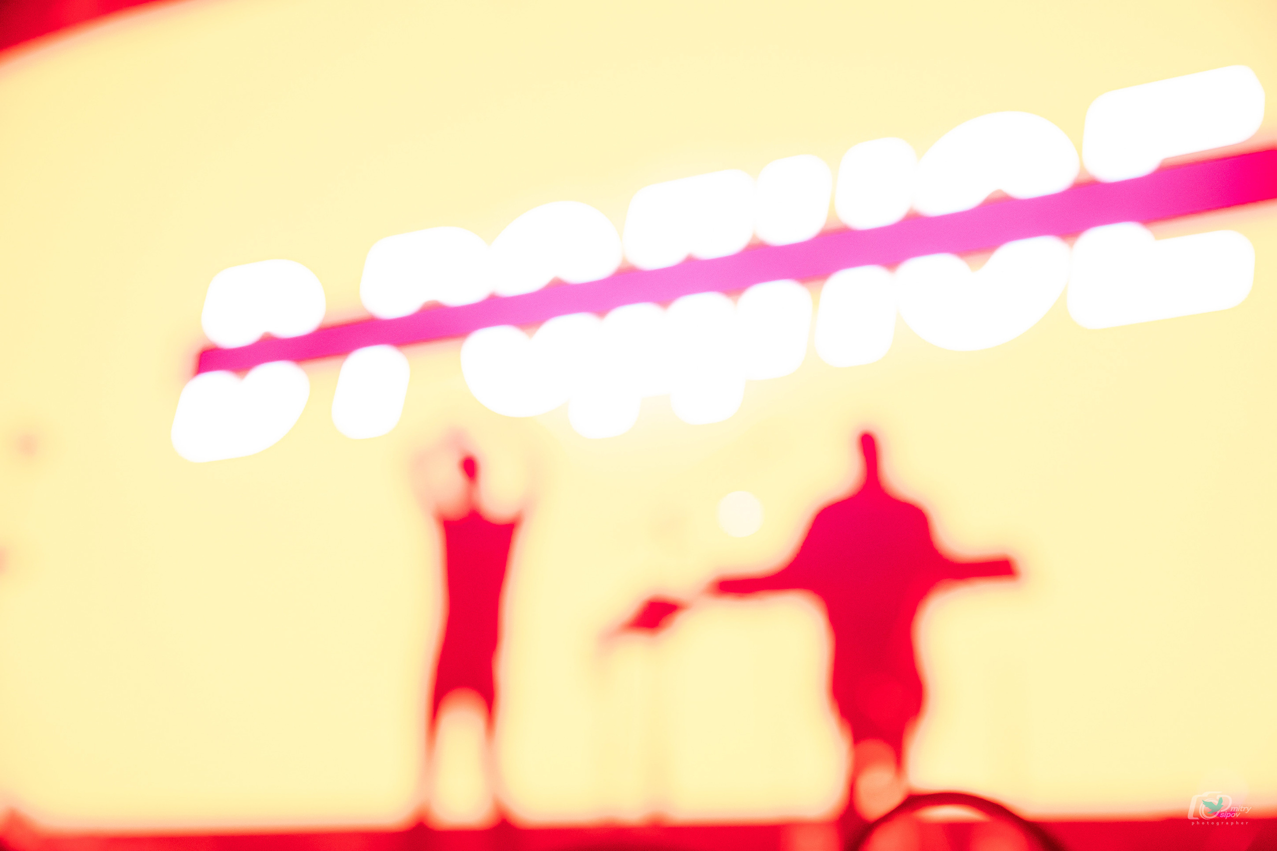 Концерт Группы Би-2. Свадебный фотограф в Хабаровске