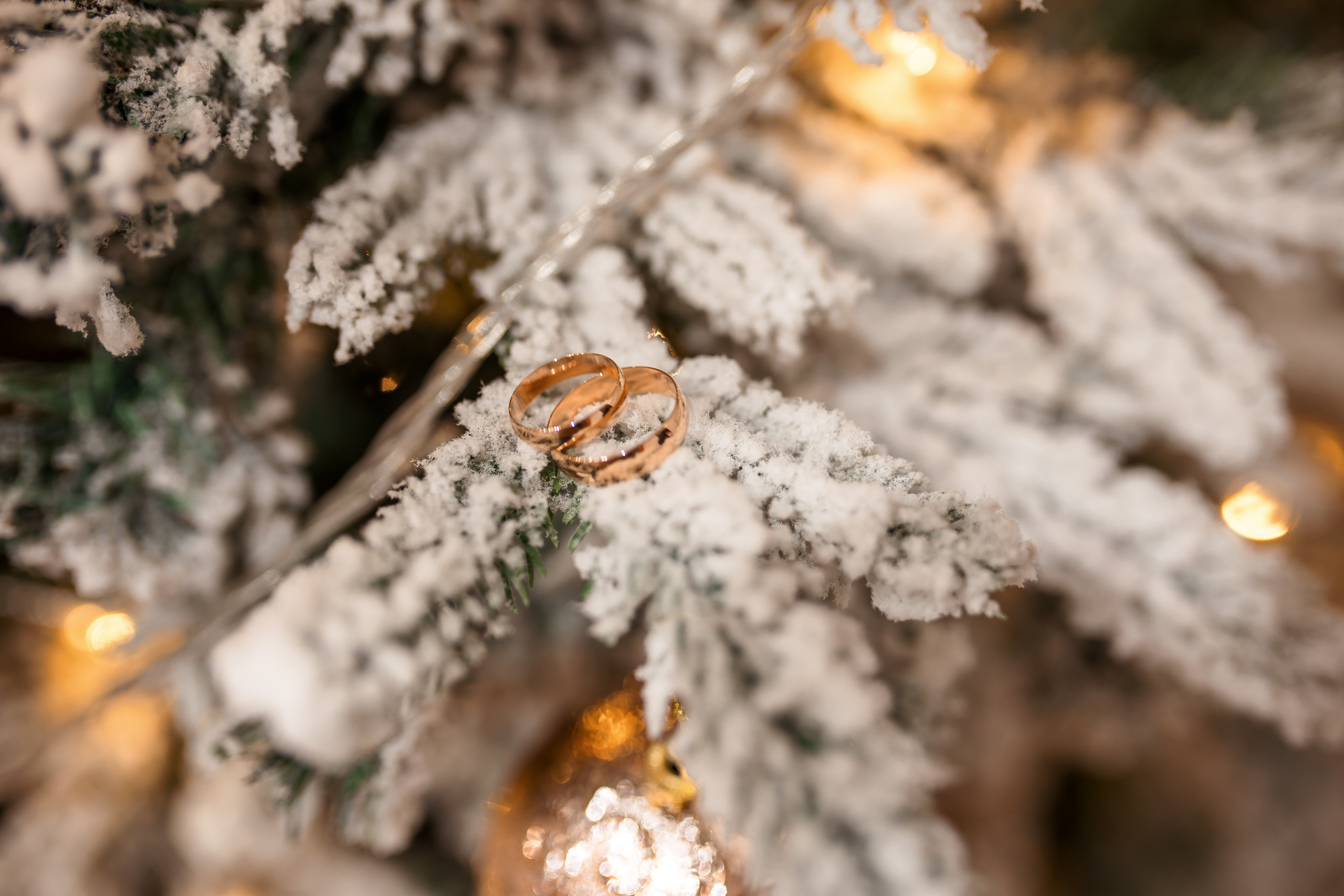 Илья и Яна. Хабаровск. Ноябрь. Немного Прогулка, студия, выездная, банкет. Свадебный фотограф в Хабаровске