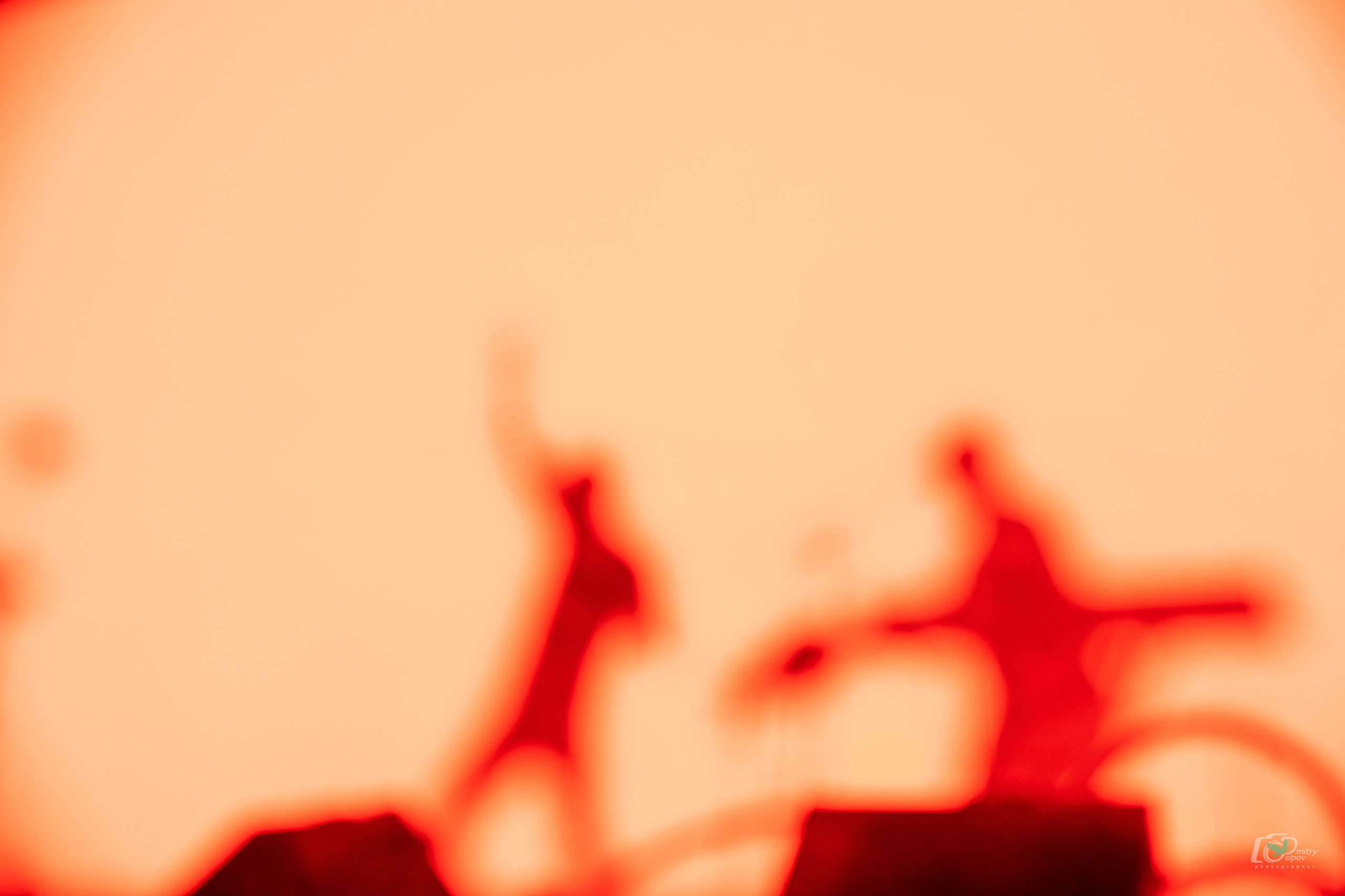 Концерт Группы Би-2. Свадебный фотограф в Хабаровске