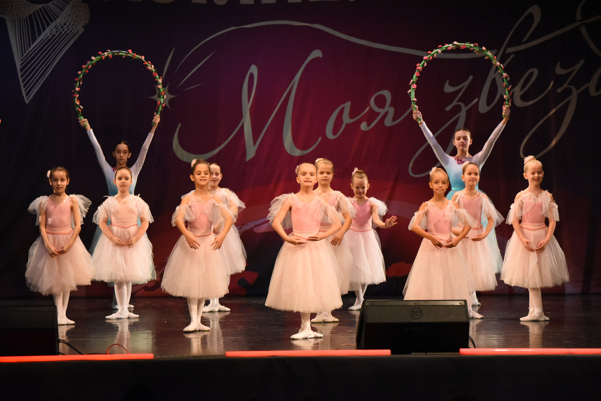 13 декабря, г. Калининград. Золотое яблочко