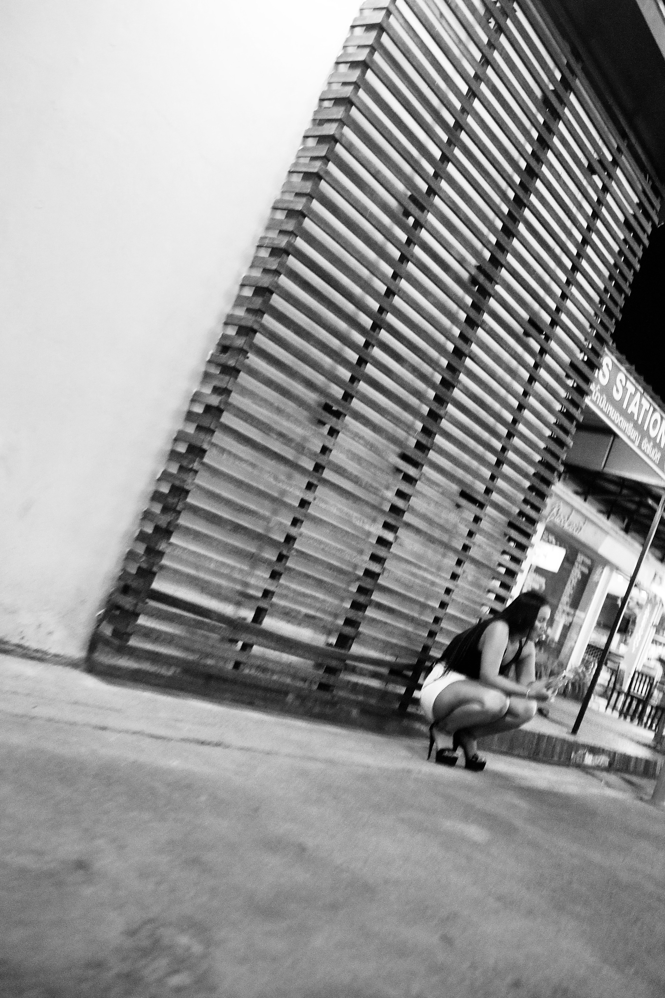 Night inhabitants of Samui Island / Thailand 2024. POLINA MÔMOT