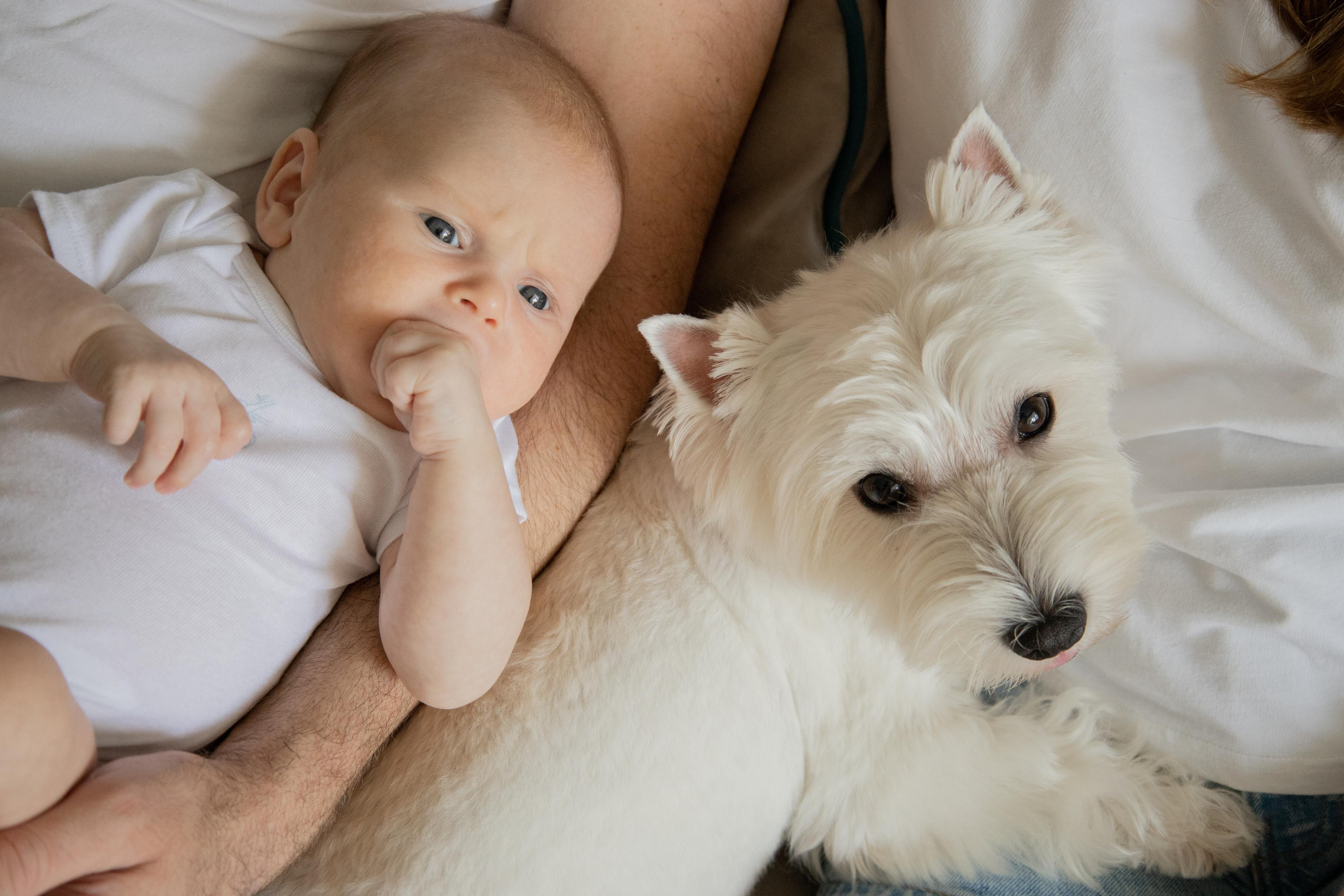 Даниил. Смиричевская Екатерина — фотограф новорожденных
