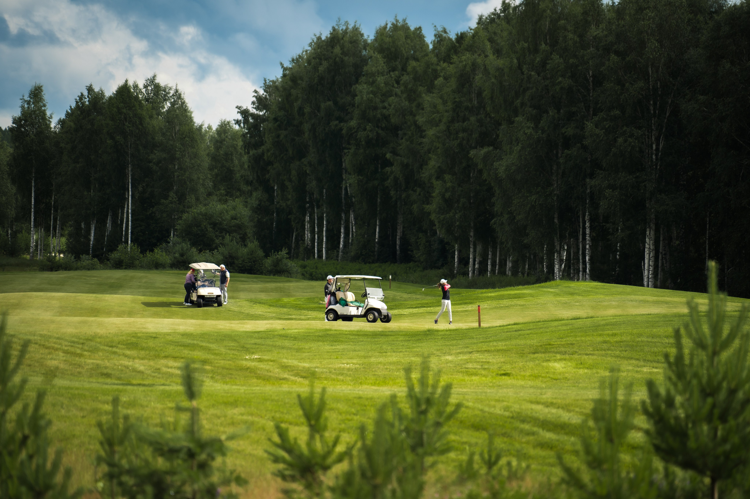 Природа. Фотограф и оператор Роман Фадеев в Екатеринбурге