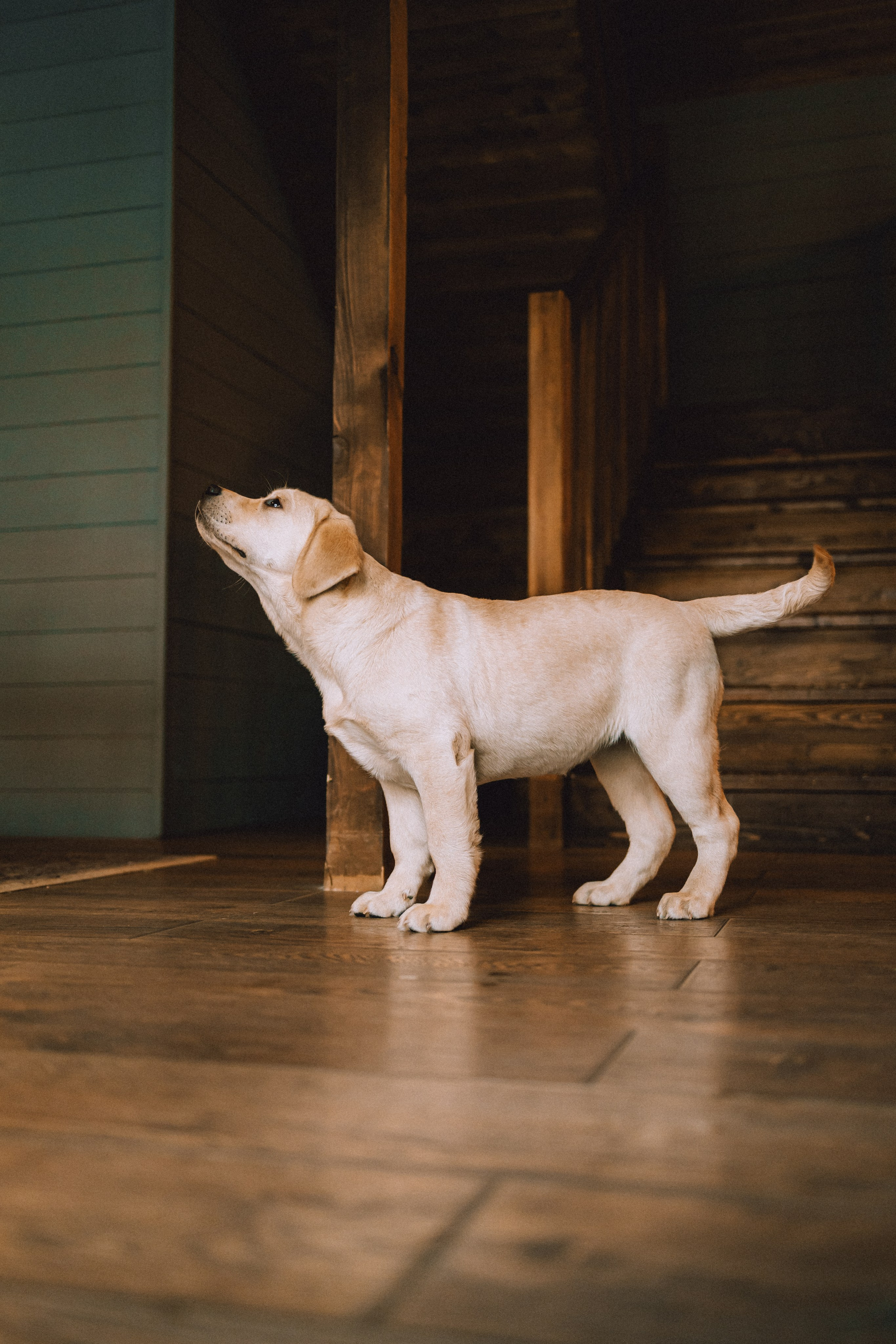 Ума, Берта и их семья