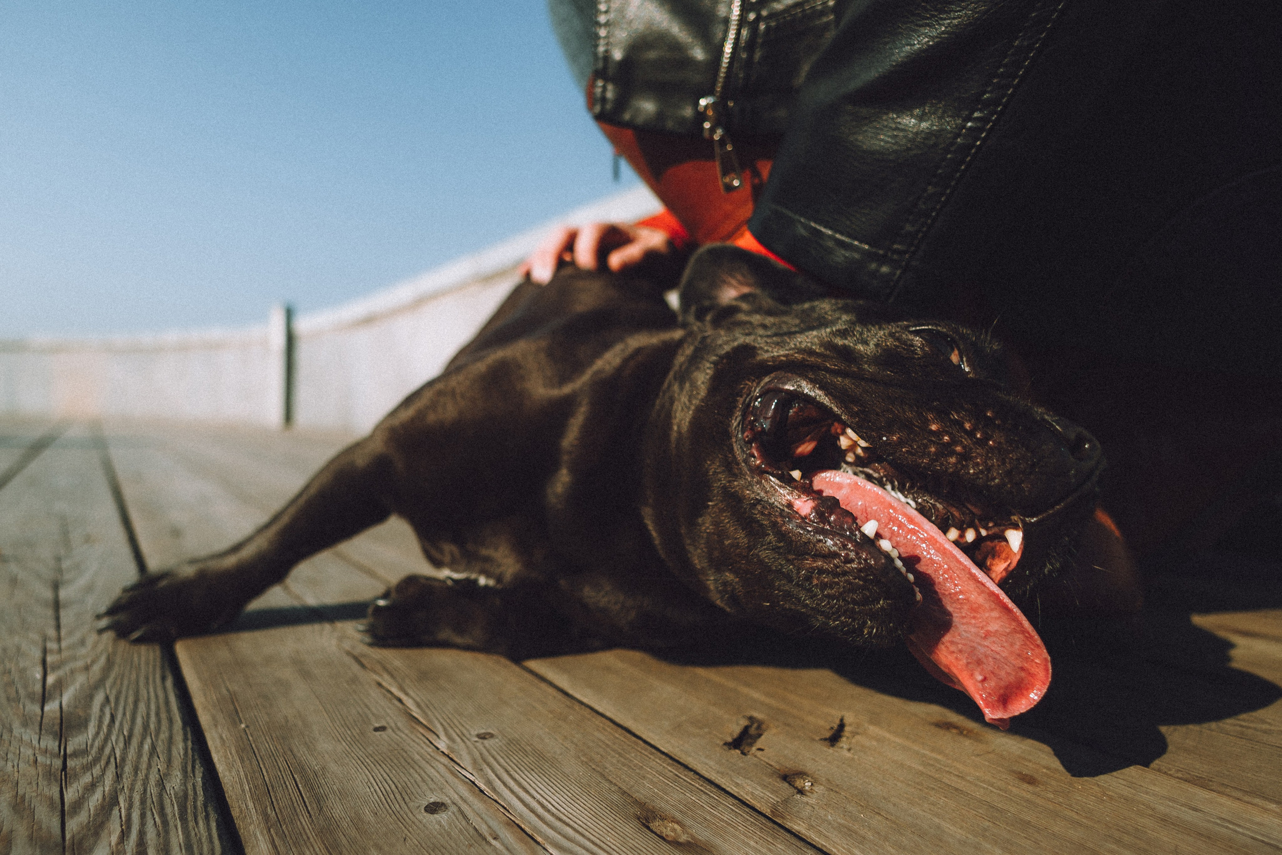 Саша, Дима и Шпуля