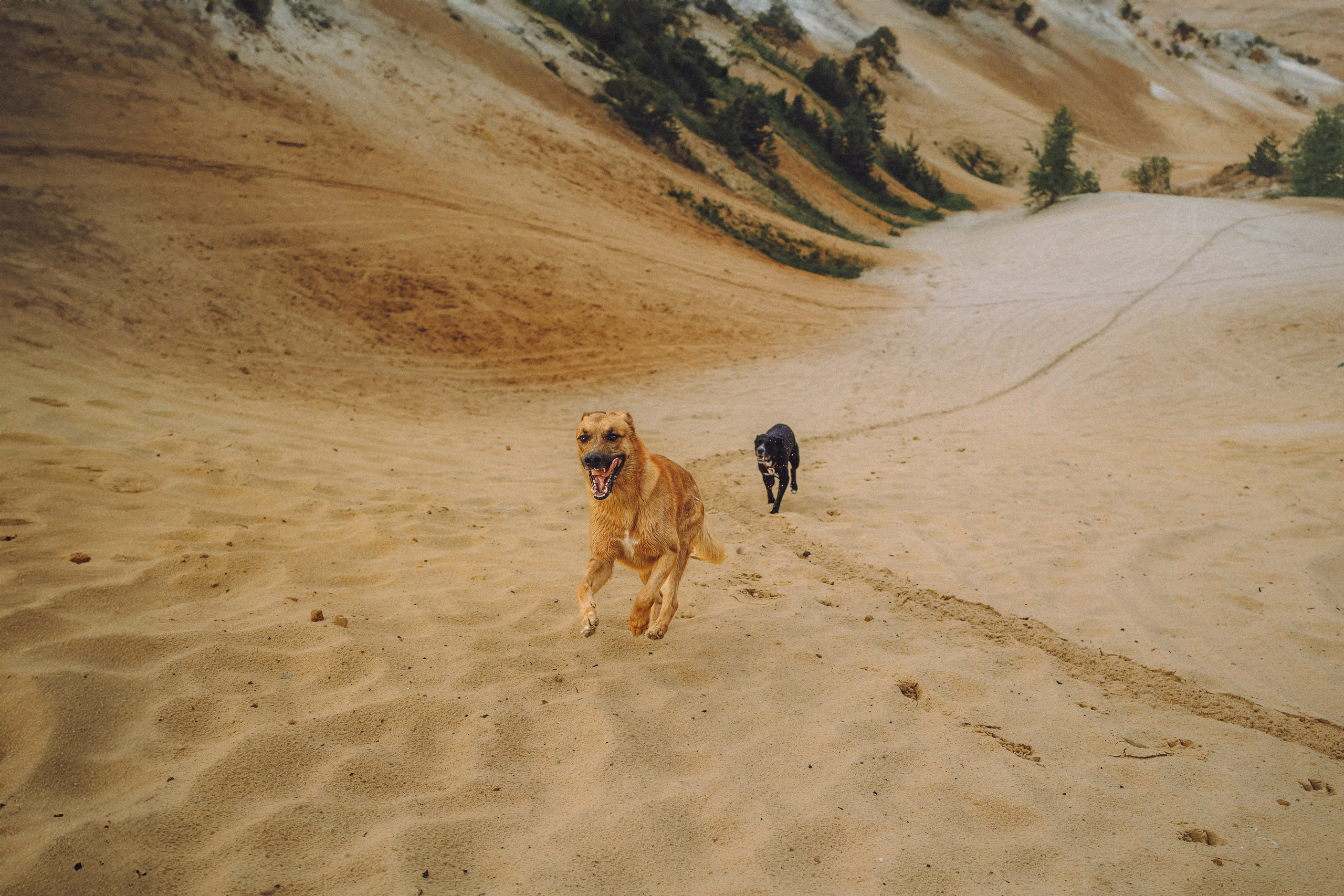 Роби, Тео и их семья