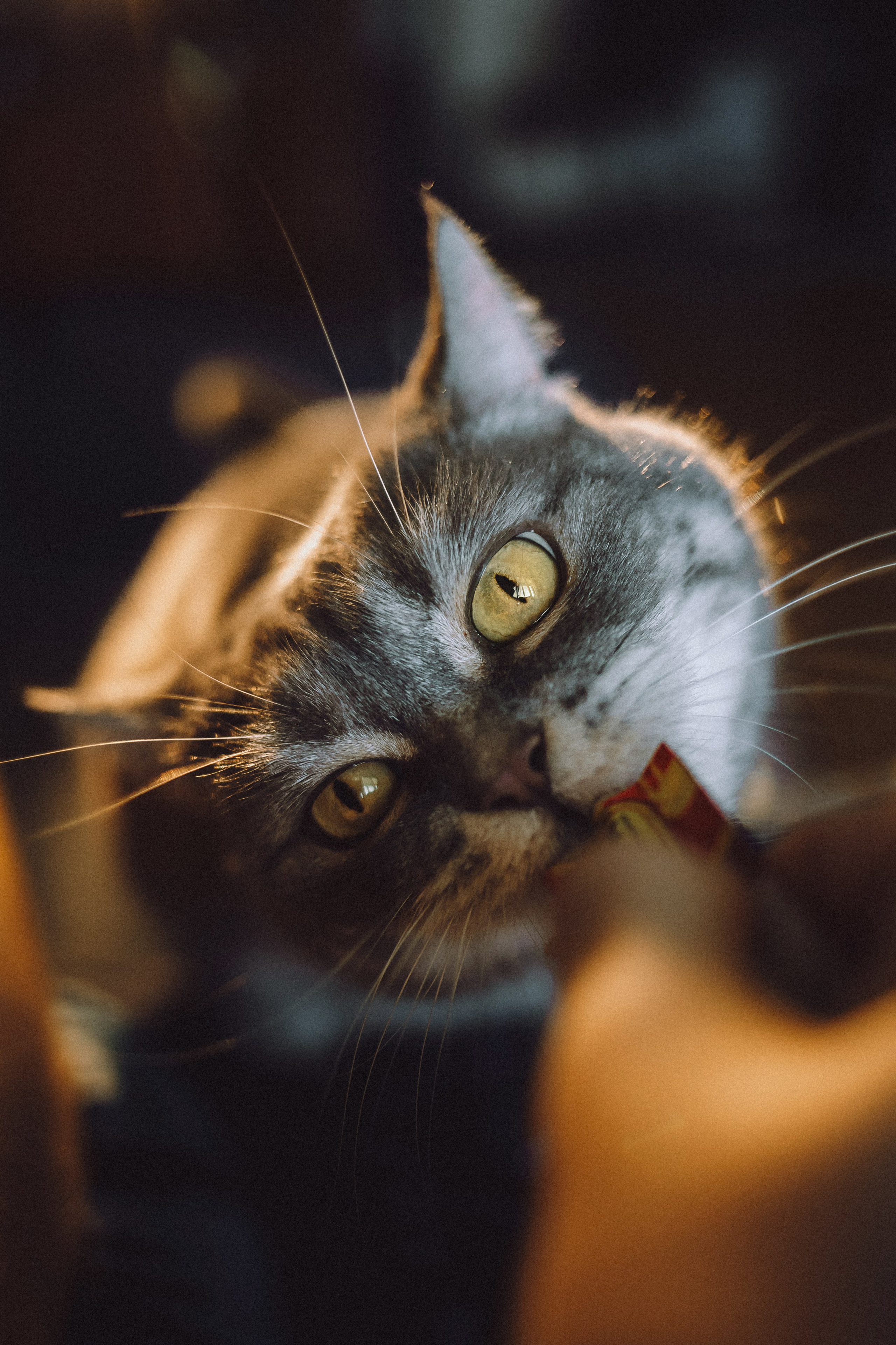 Яся и ее семья