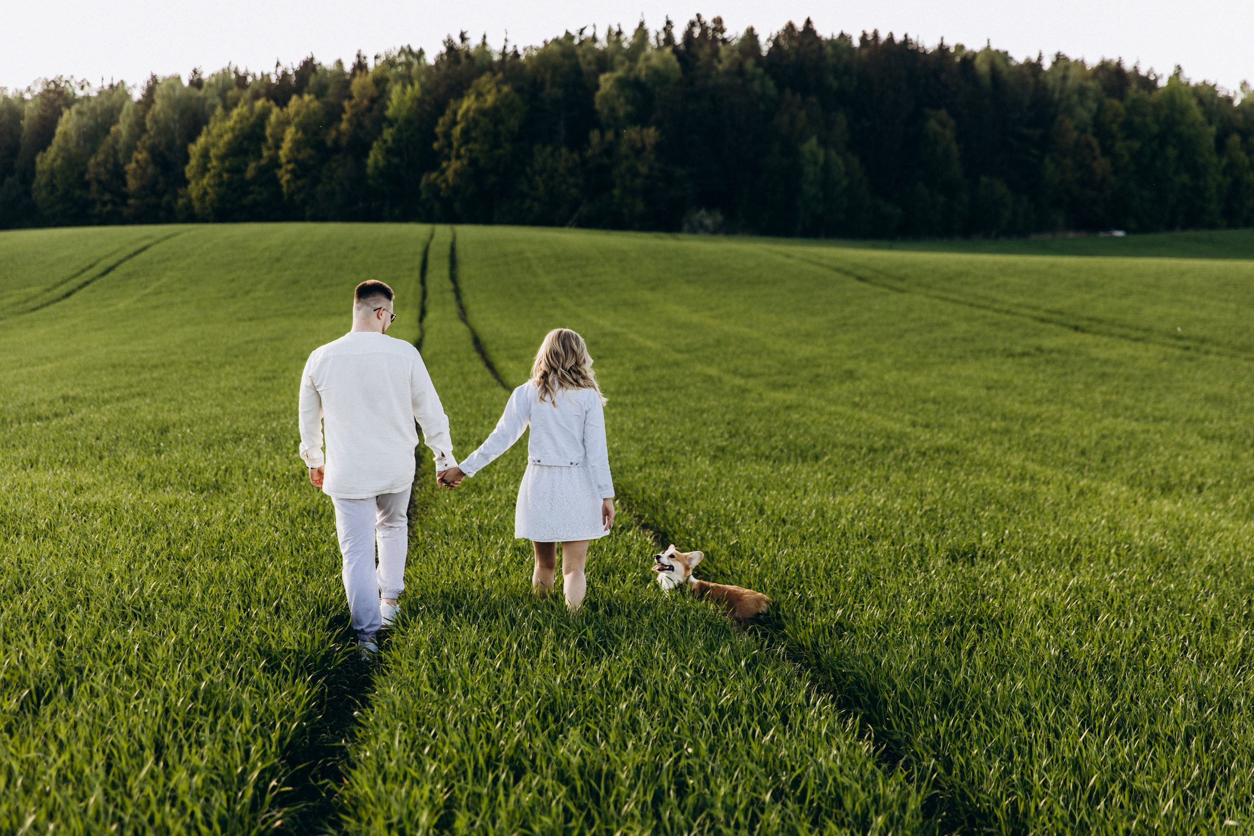 Адриан+Настя. Свадебный фотограф Каледич Тимофей