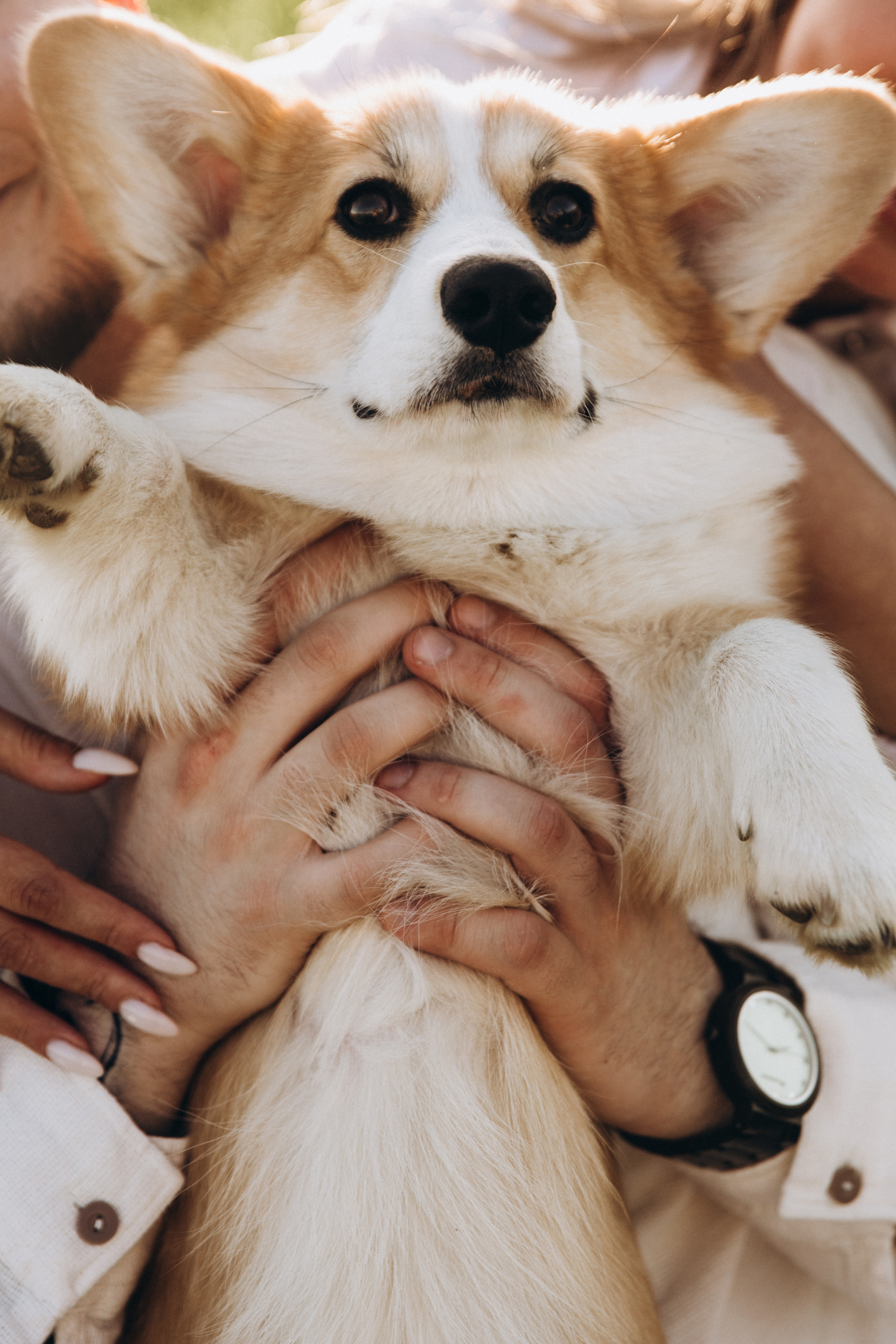 Адриан+Настя. Свадебный фотограф Каледич Тимофей