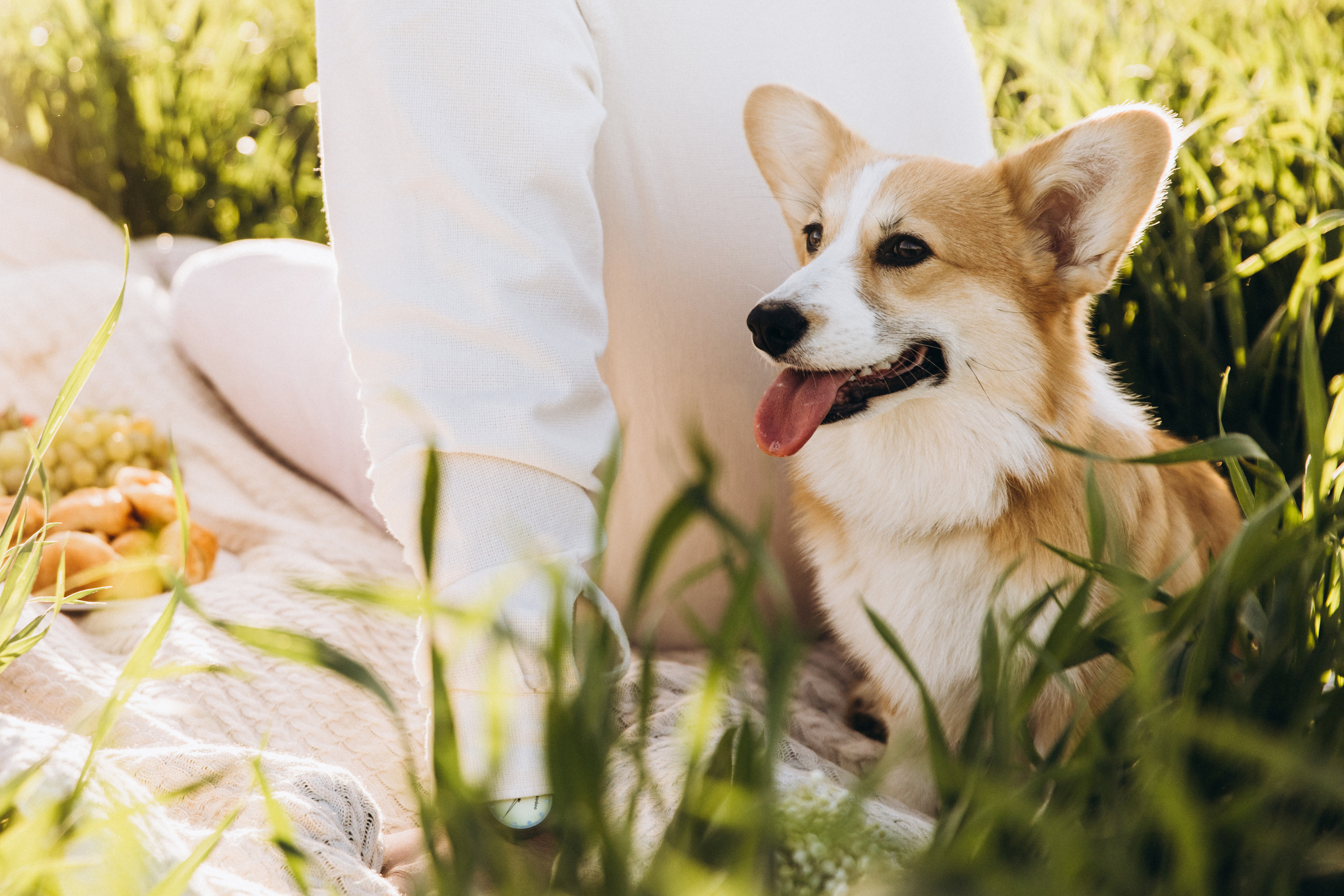Адриан+Настя. Свадебный фотограф Каледич Тимофей