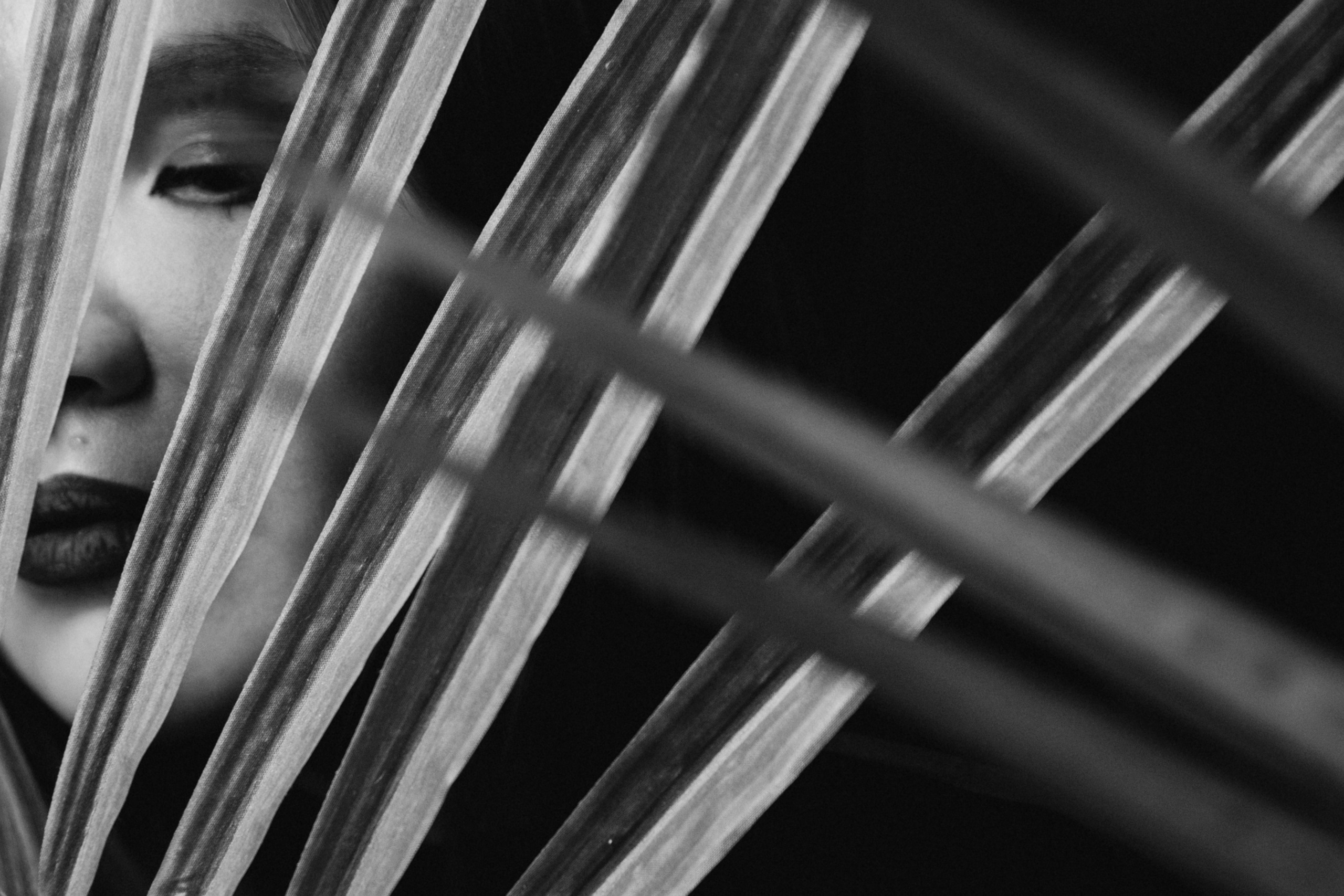 MAFIA Catch. Свадебный фотограф Каледич Тимофей