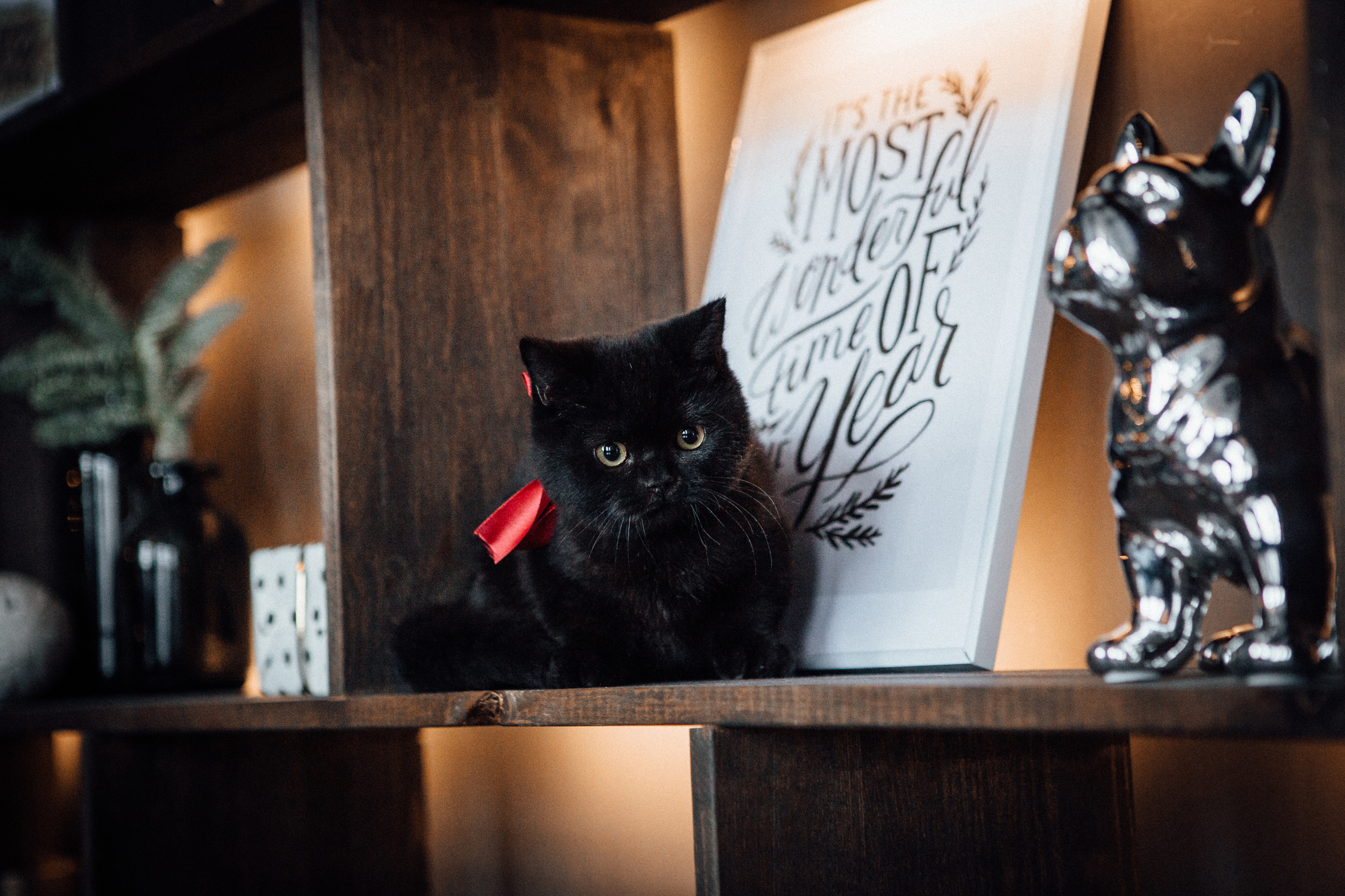 Love story , Свадебная фотосъемка в Минске. Свадебный фотограф Роман Медведев , Минск, Беларусь