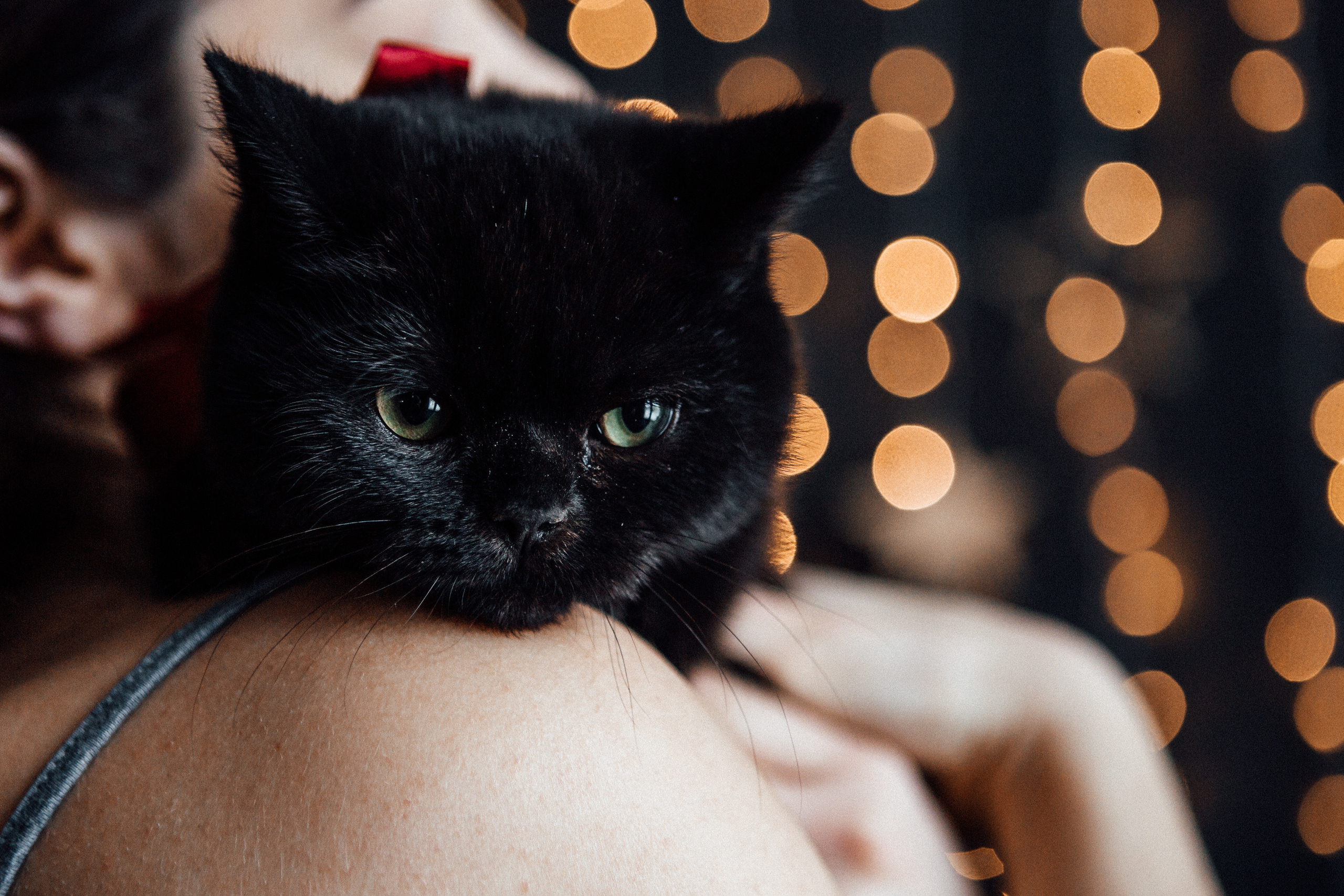 Love story , Свадебная фотосъемка в Минске. Свадебный фотограф Роман Медведев , Минск, Беларусь