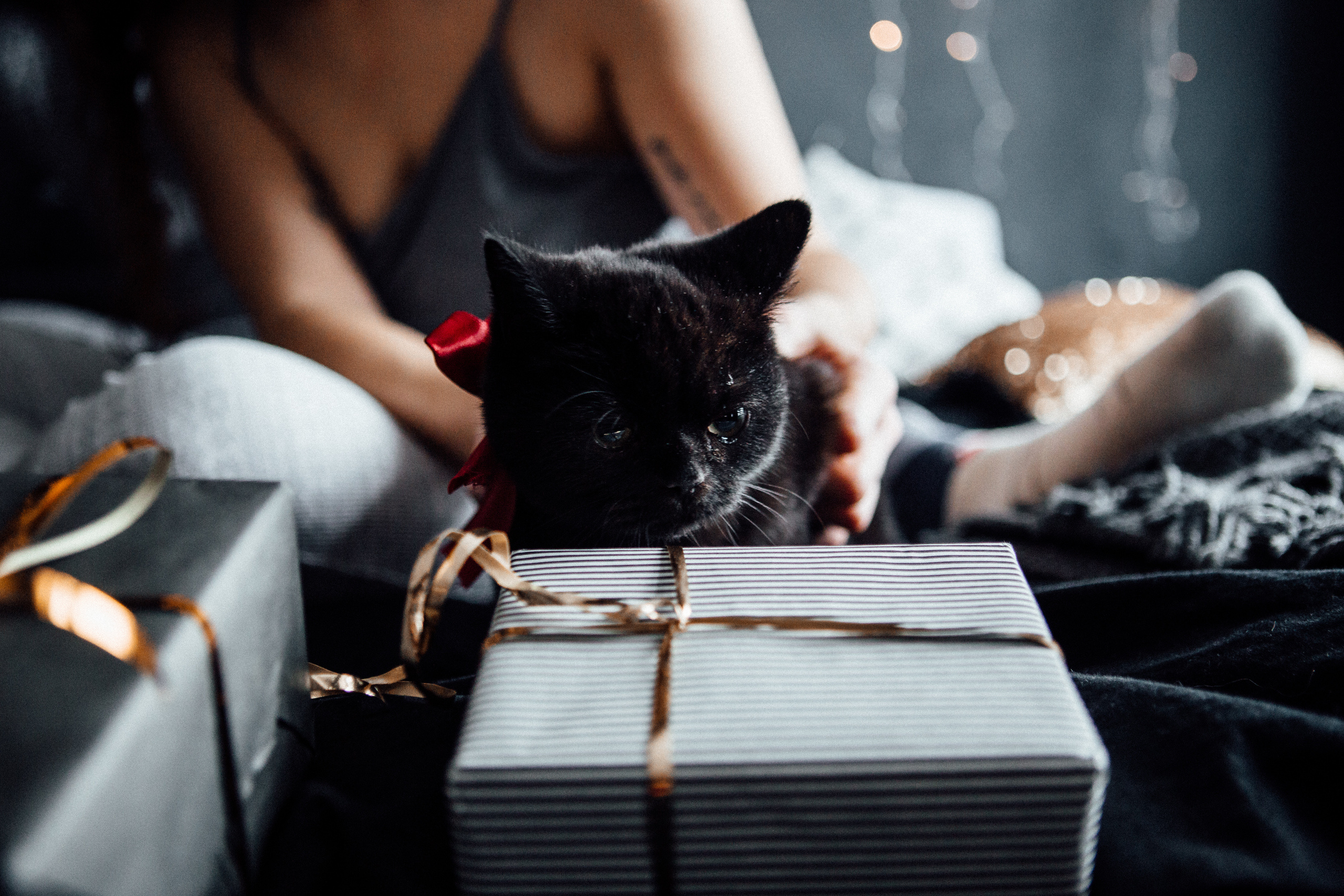 Love story , Свадебная фотосъемка в Минске. Свадебный фотограф Роман Медведев , Минск, Беларусь
