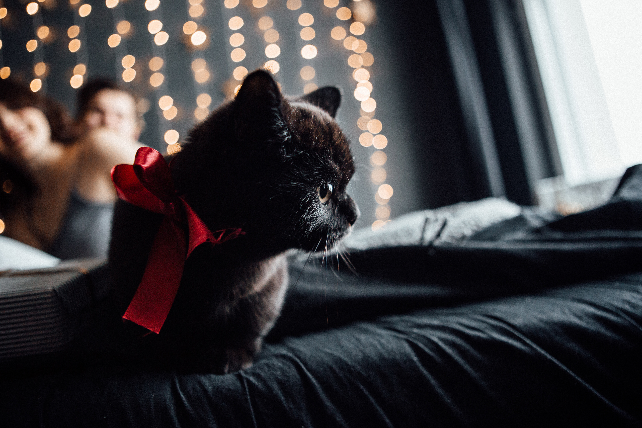 Love story , Свадебная фотосъемка в Минске. Свадебный фотограф Роман Медведев , Минск, Беларусь