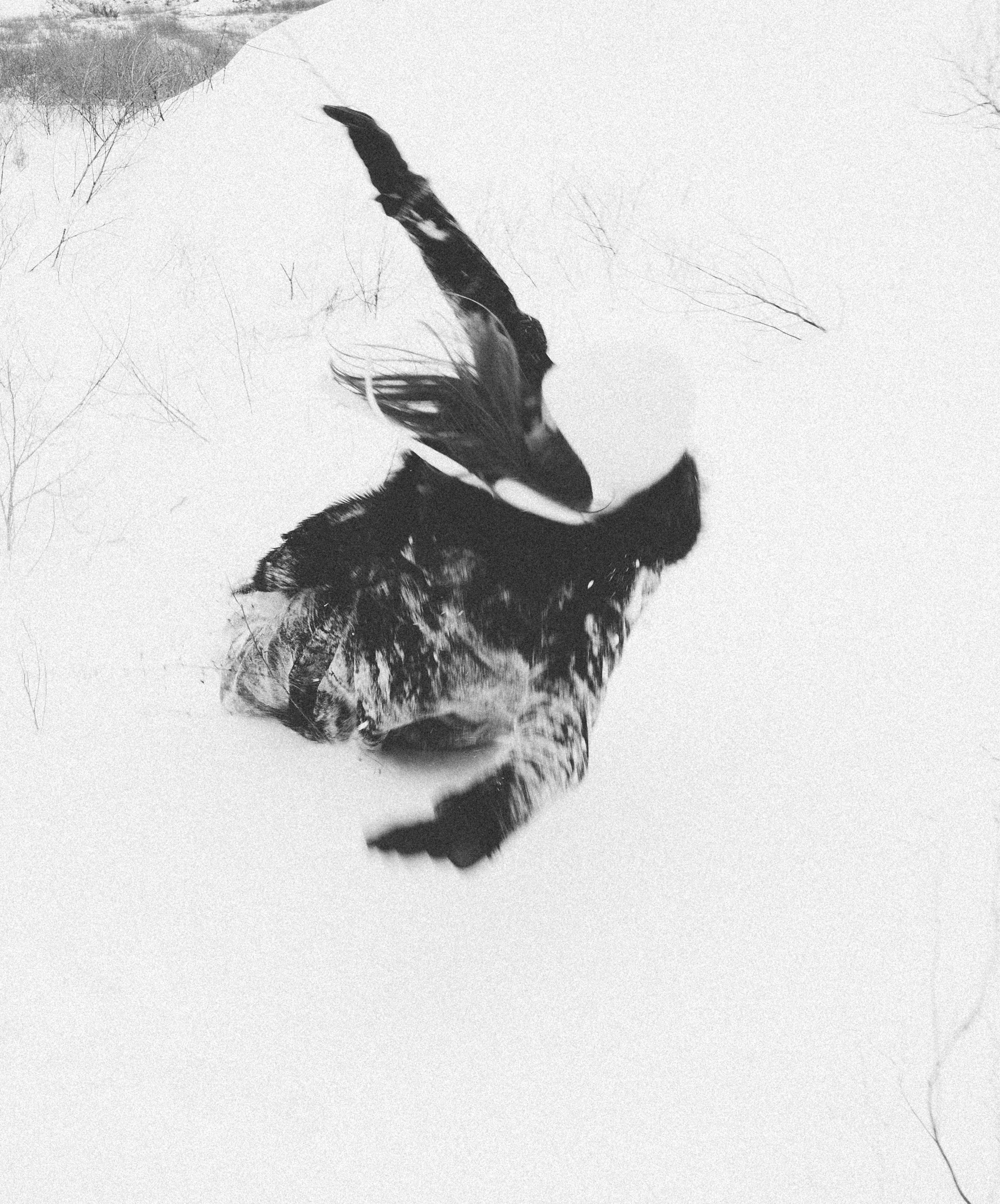 Вера. Фотограф Таганрог