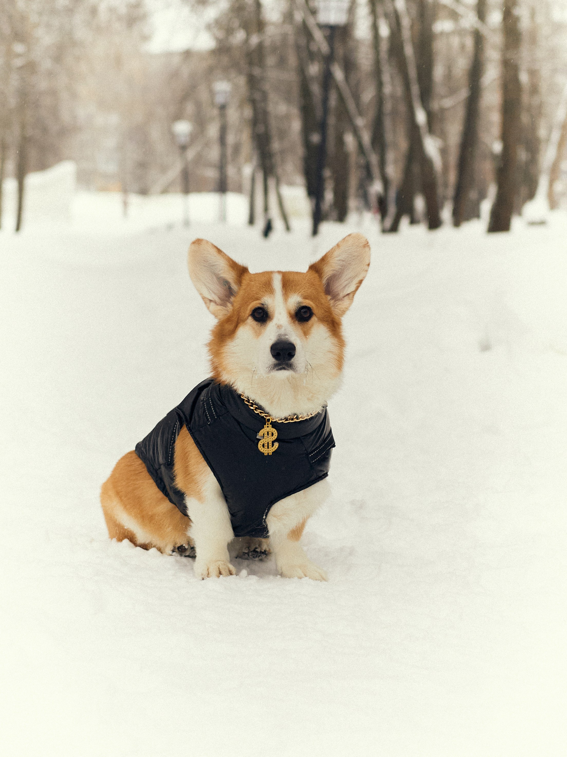 Арина и Динар малыш Рич. Фотограф и видеограф в Бугульме Аня Трутнева