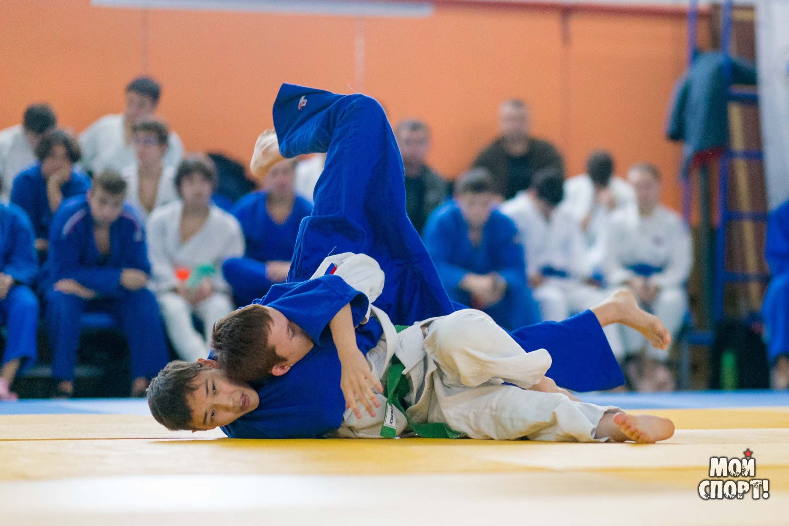 Кубок и первенство РС (Я) по дзюдо. Студия «Мой Спорт!» — все о спорте в Якутии