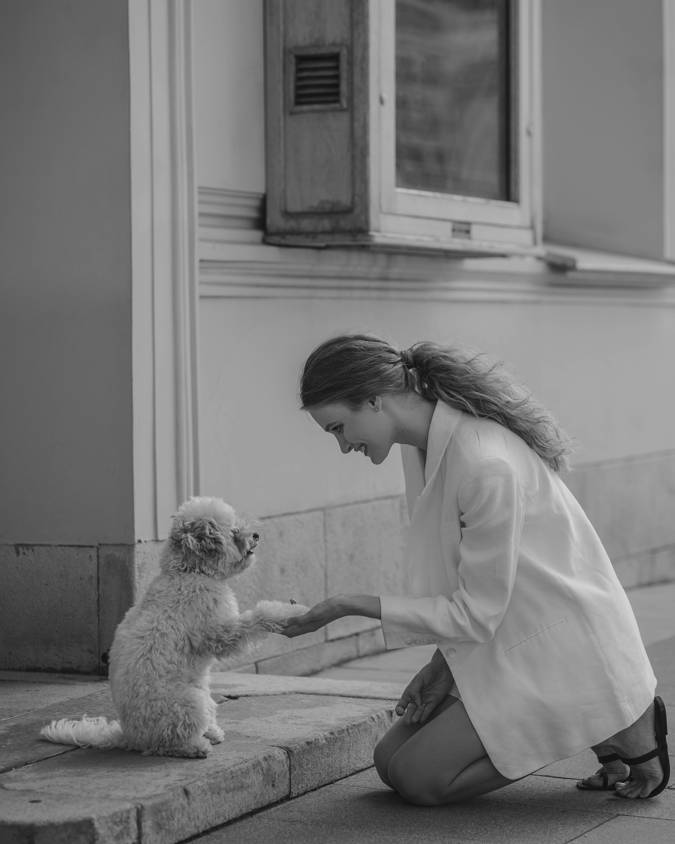 Катя и собачки. Фотограф в Москве Кондратьева Кристина