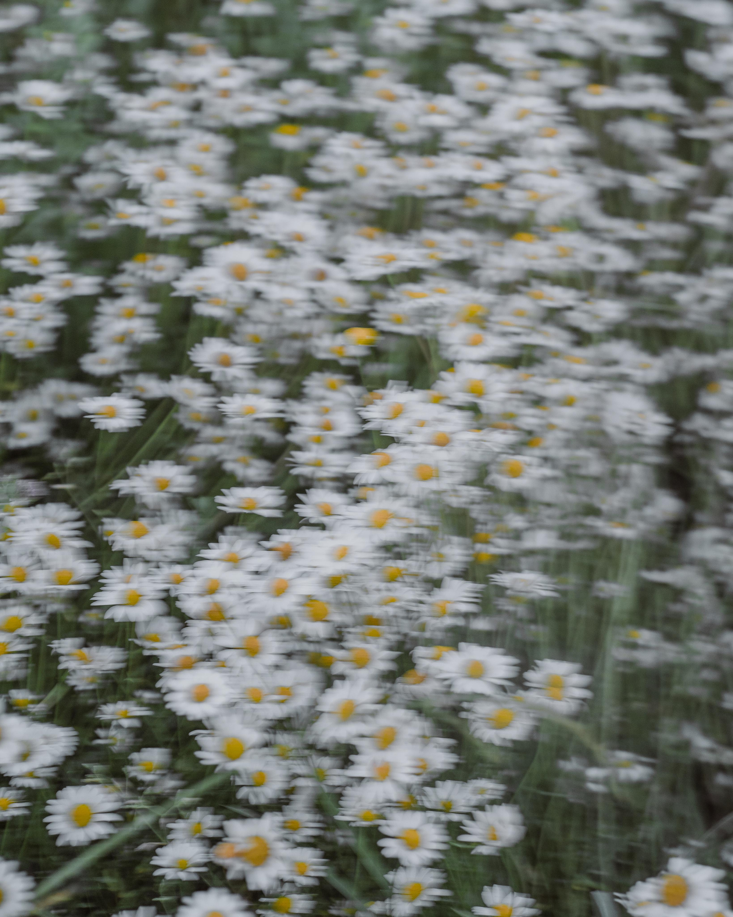 Оксана. Фотограф в Москве Кондратьева Кристина