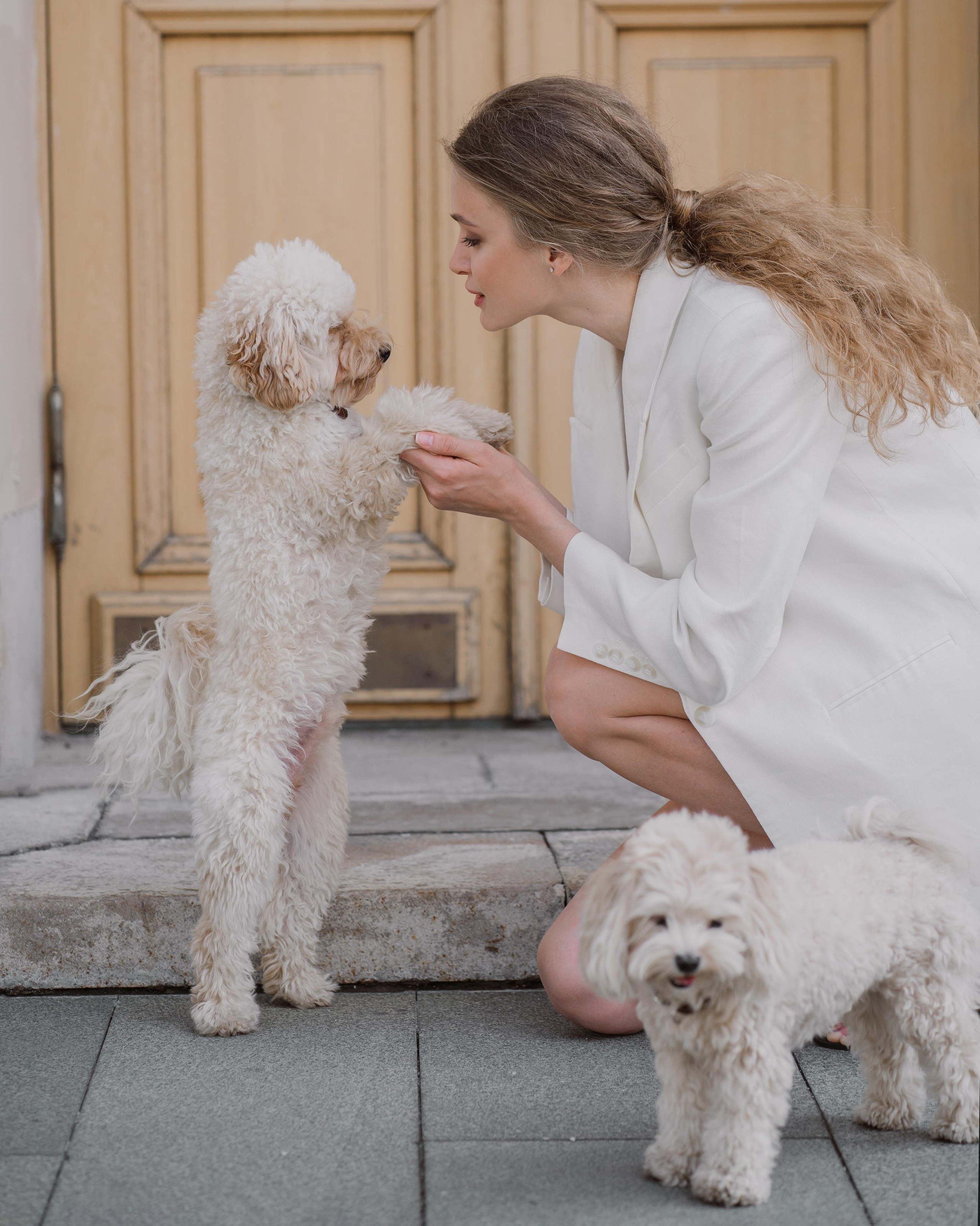 Катя и собачки. Фотограф в Москве Кондратьева Кристина