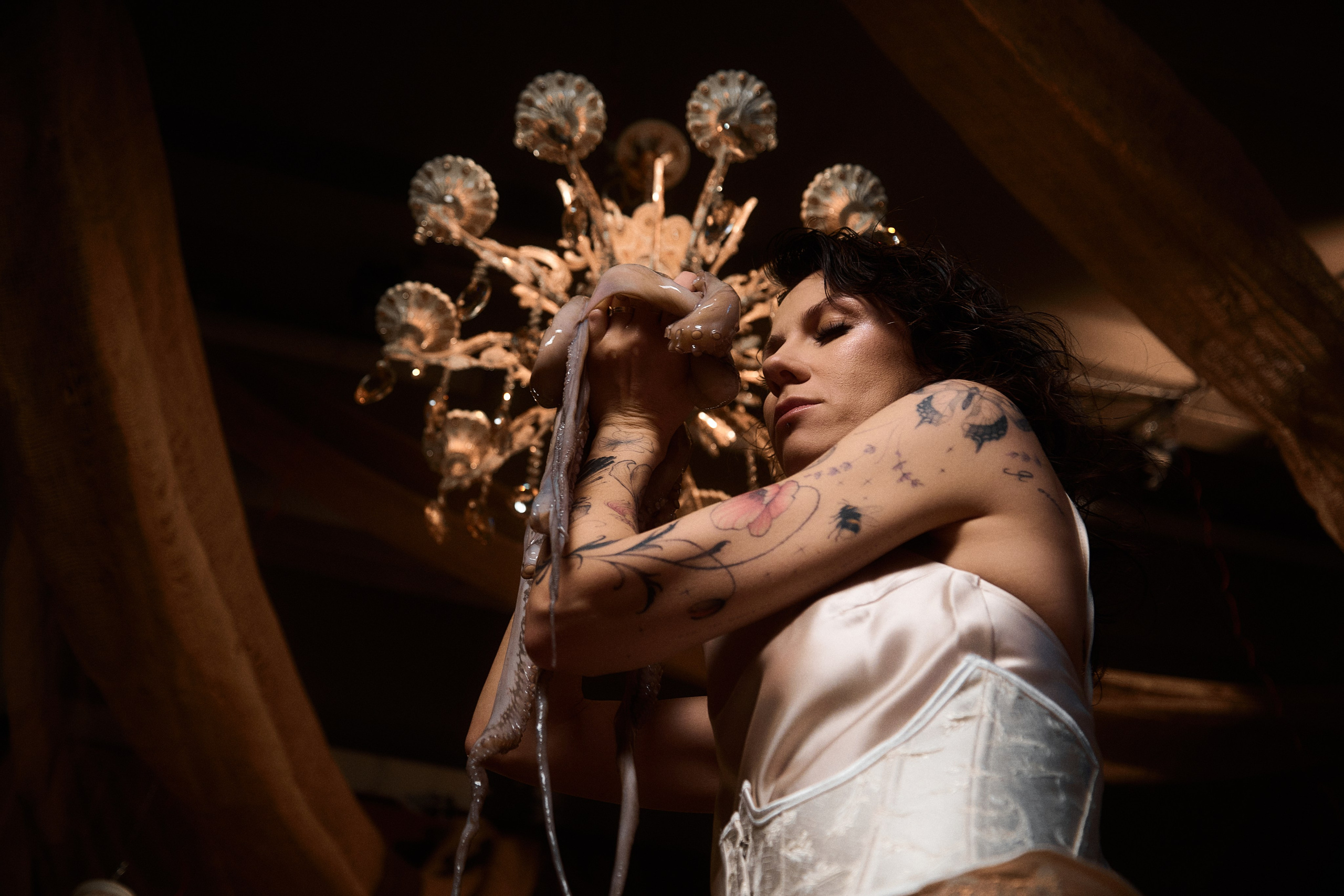 Octopus. Главная