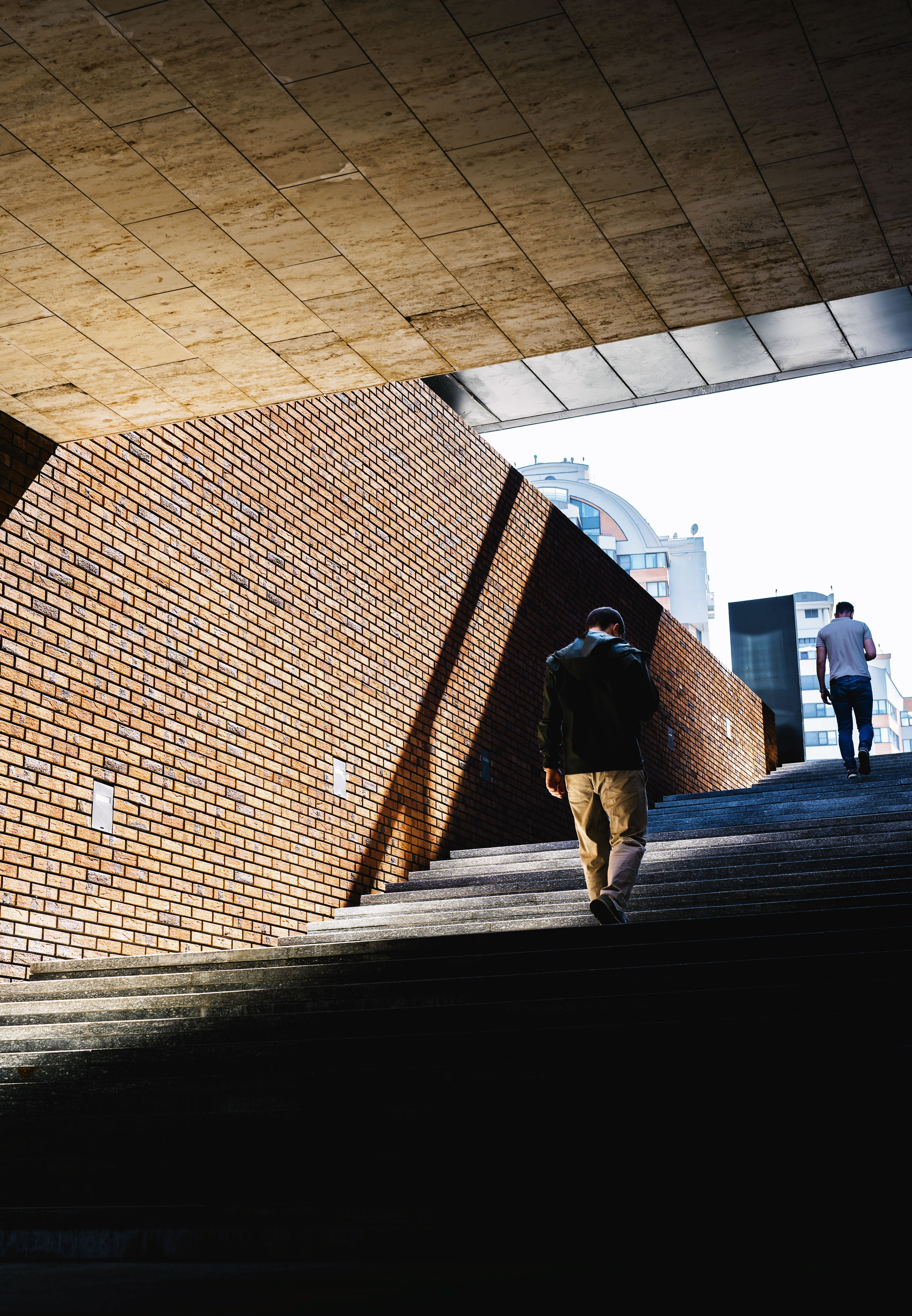Жизнь в цветах. Алексей Гаас — фотограф