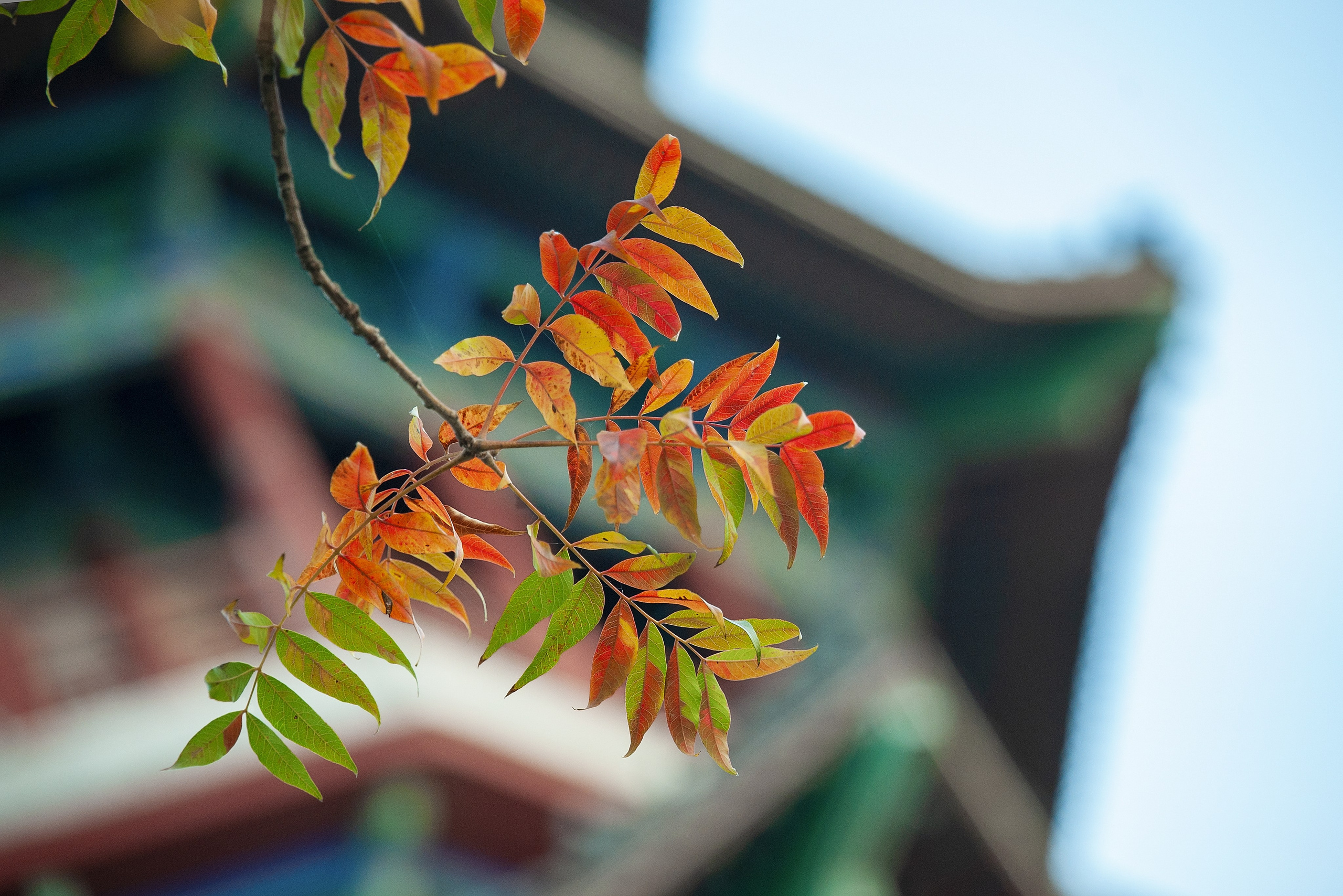 Загадочный Китай. FotoGraf