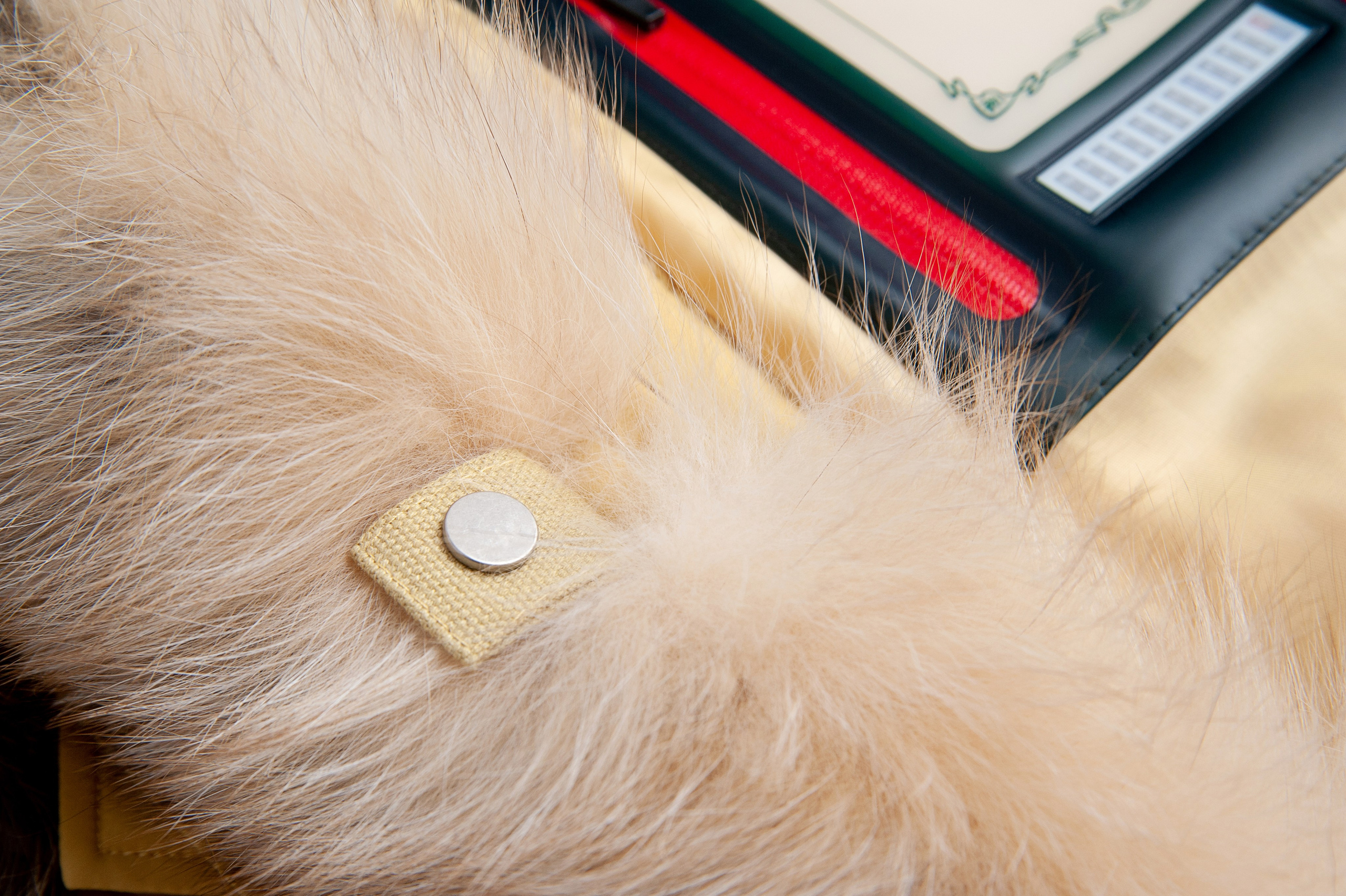 For Sesso. Фотограф в Красноярске