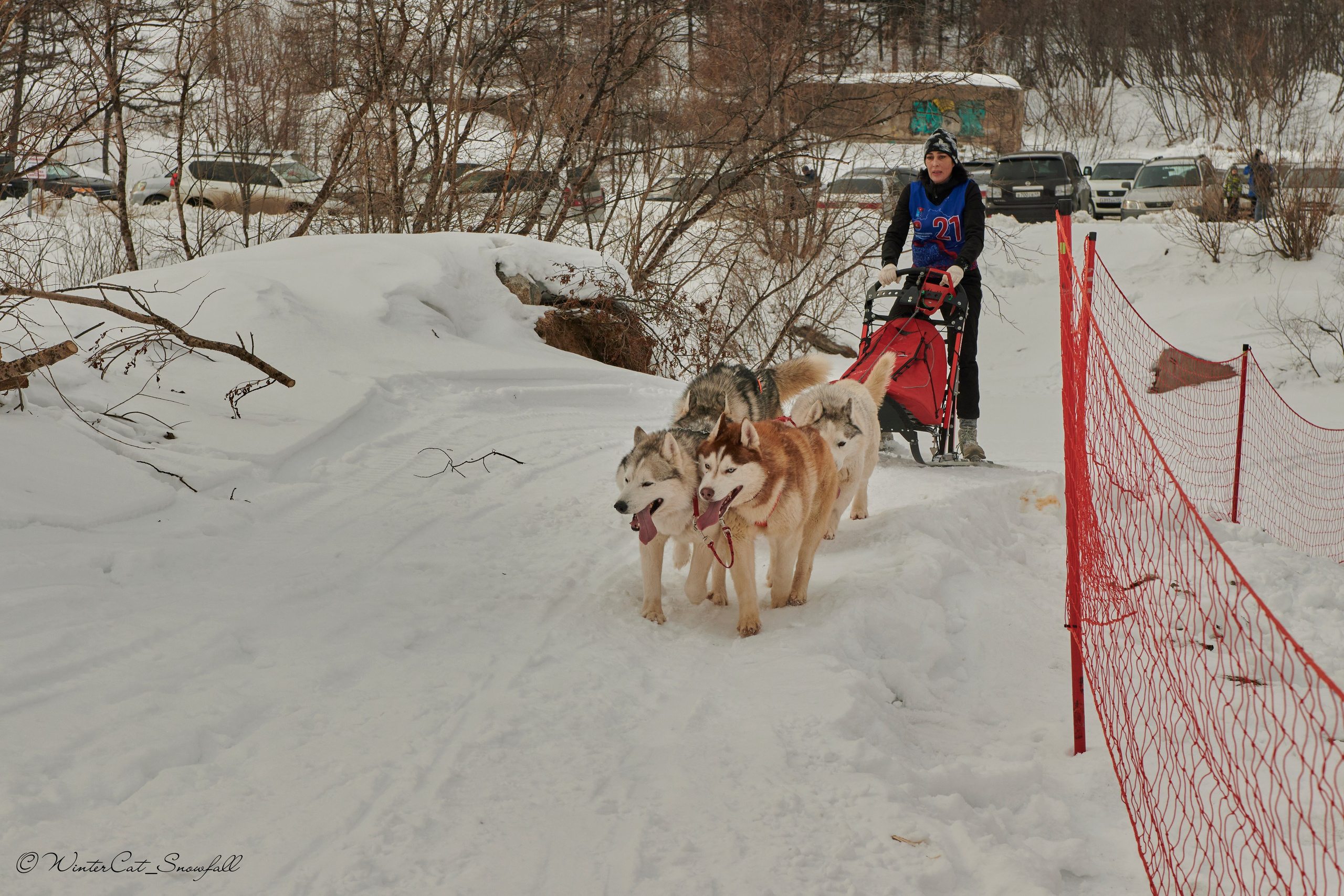 Дзяблу 30.03. Портретный и репортажный фотограф в Магадане Андрей Нефедов WinterCatPhoto