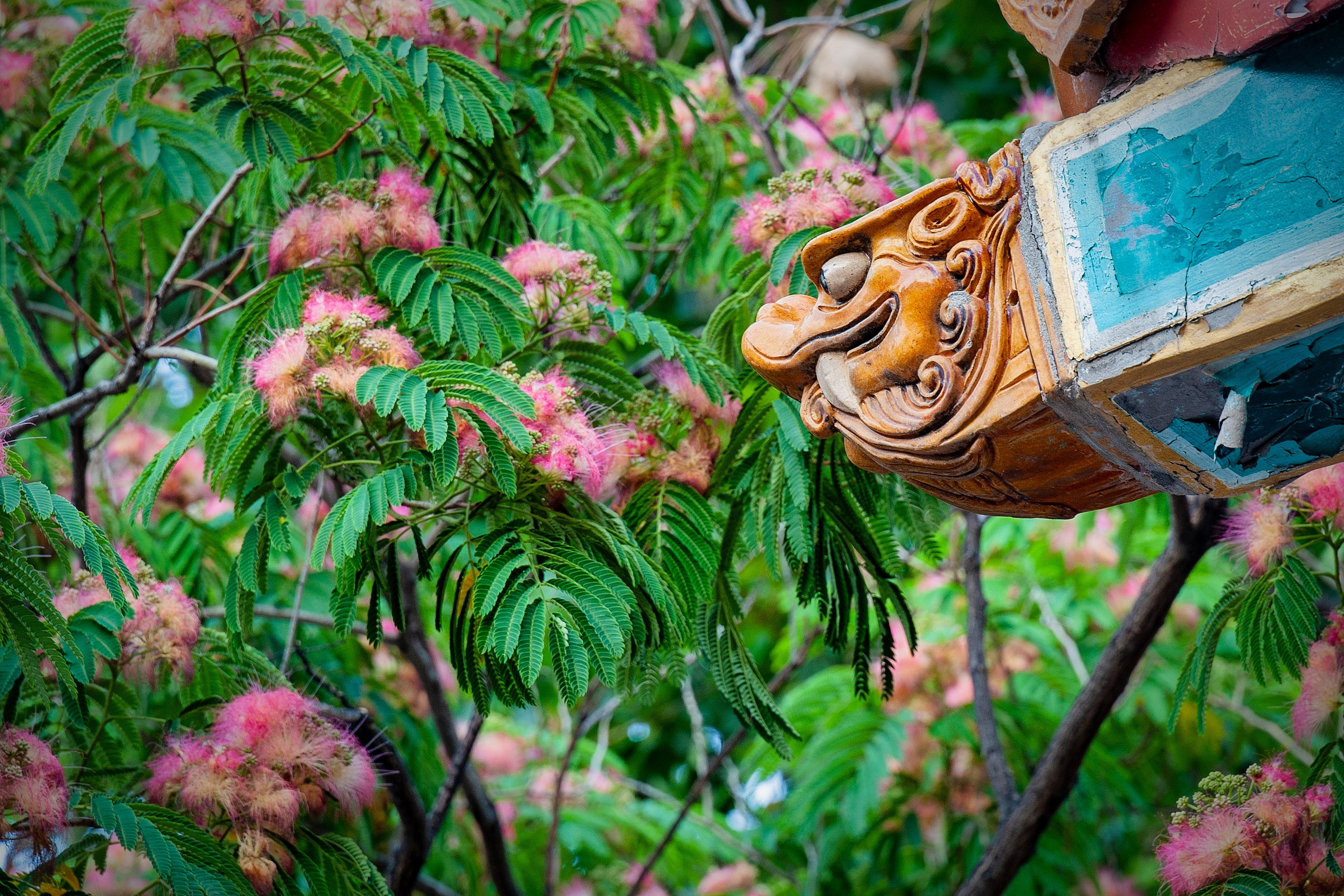 Весна. FotoGraf