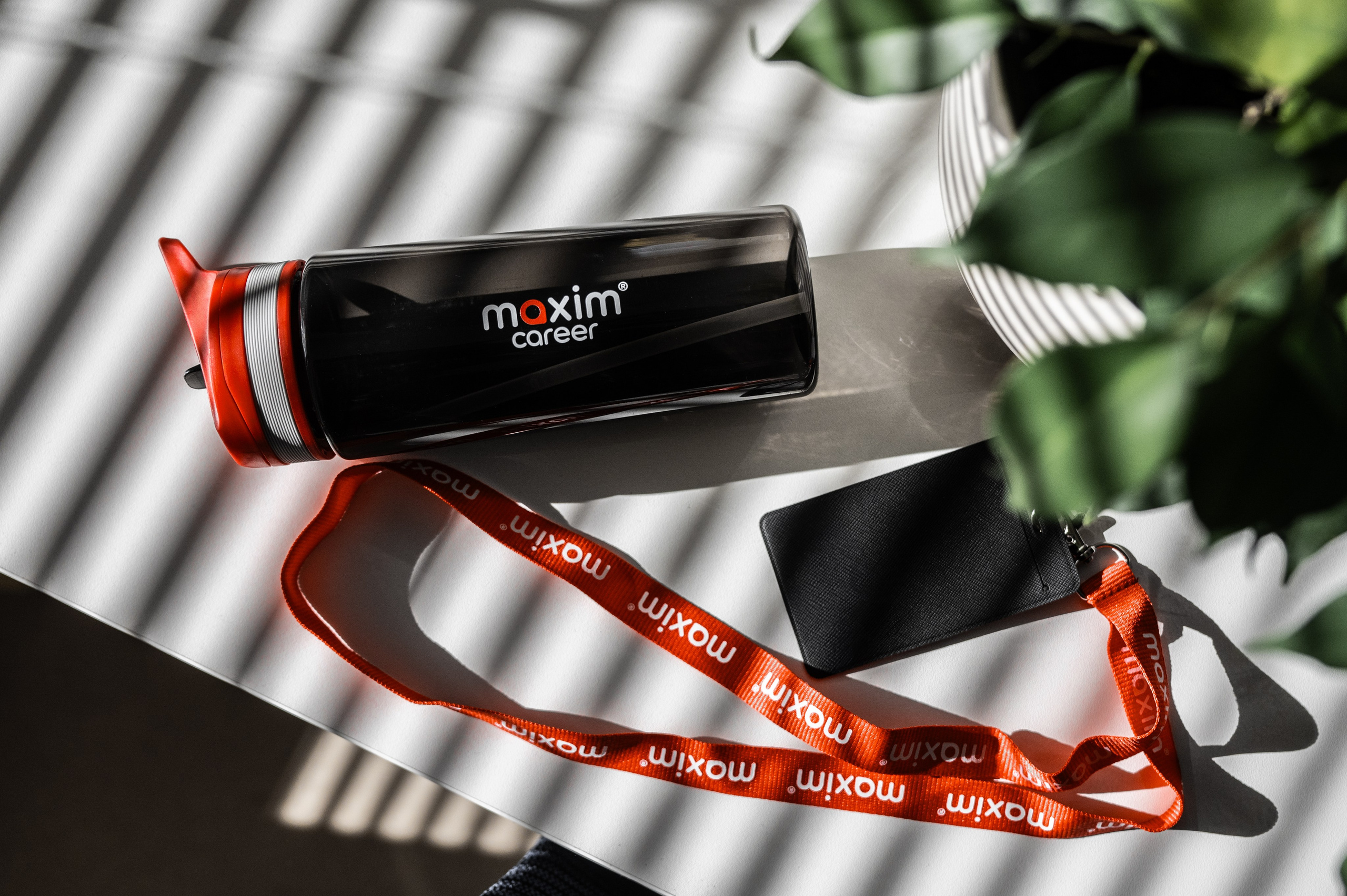 Предметная и каталожная фотосъёмка. Коммерческий фотограф в Тюмени Урванцев Борис