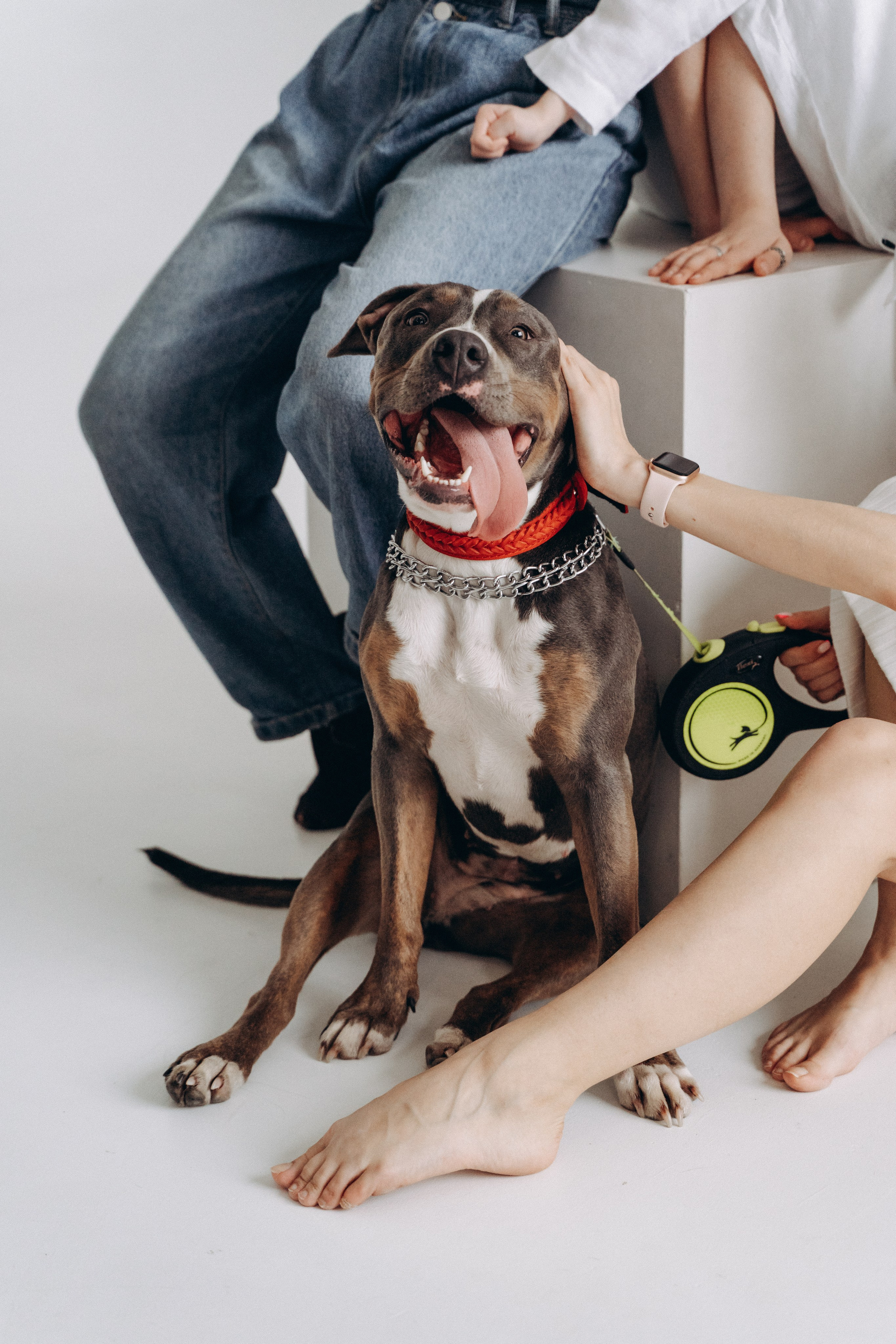 В студии. Женский и семейный лайфстайл фотограф в Уфе Лайт Альбина