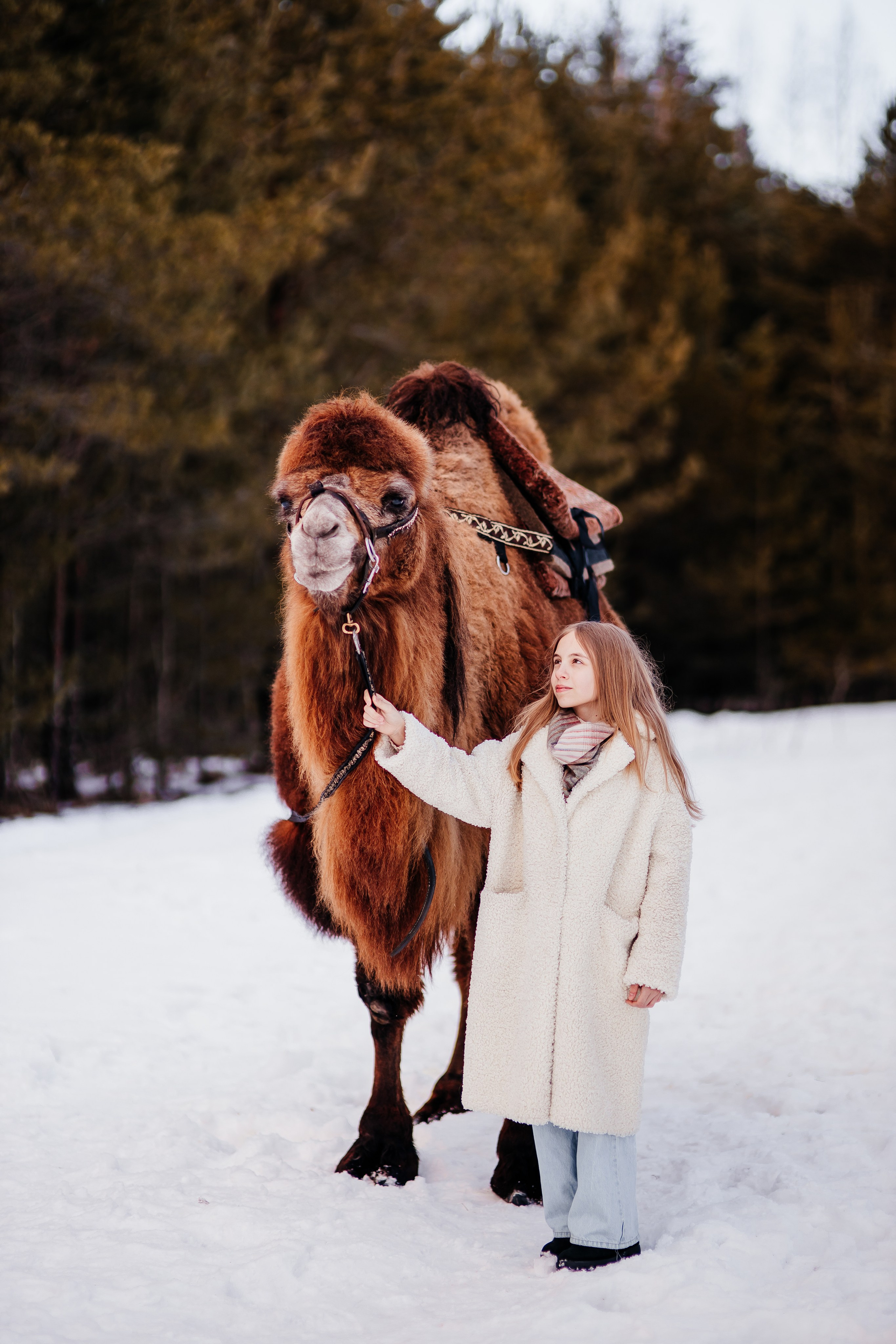 Леденящее приключение. Фотосессии Фотодни Псков СПб