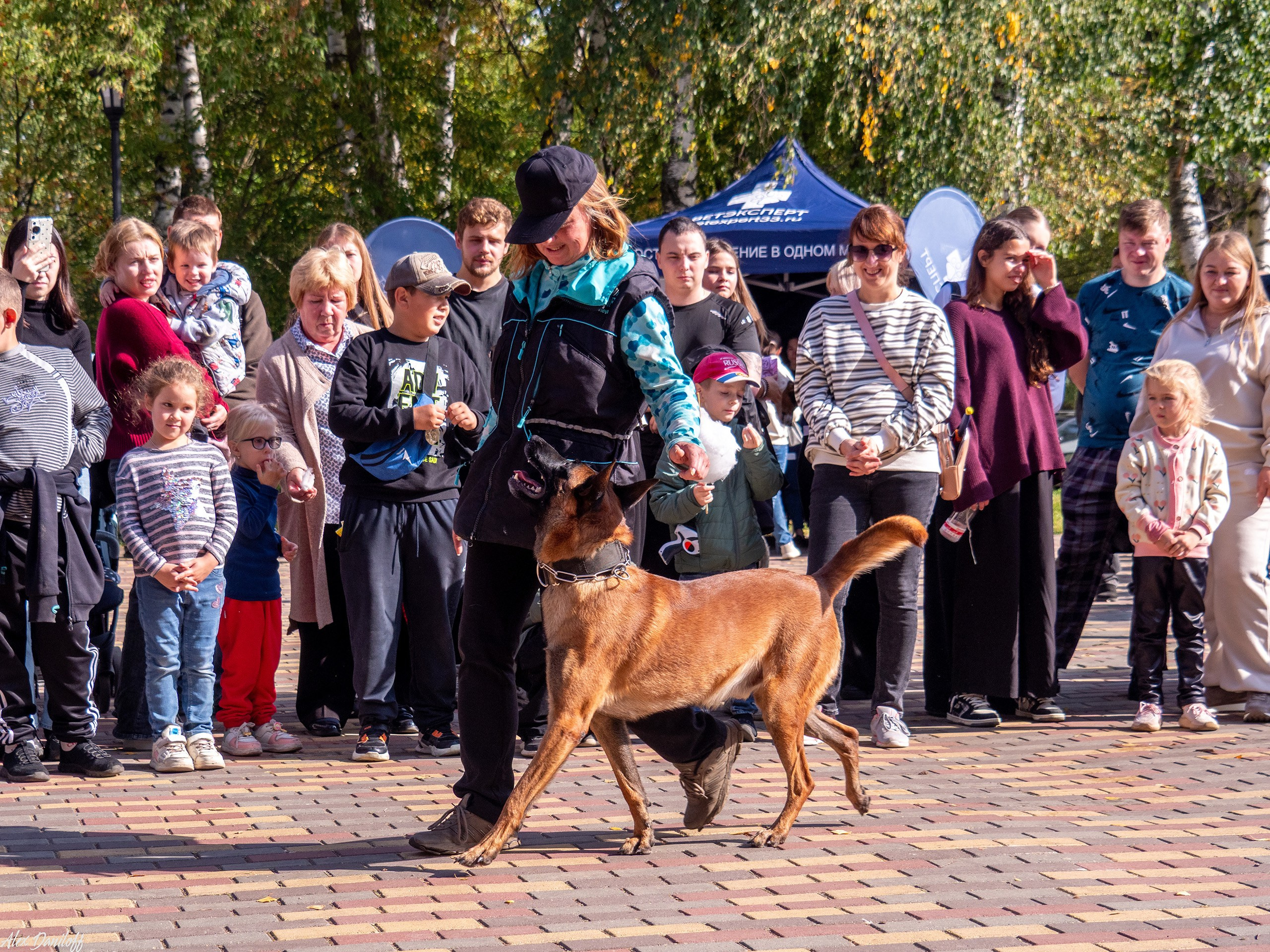 Обнимака 2025. Муром-Инфо. Новости культуры, образования, спорта в городе Муром