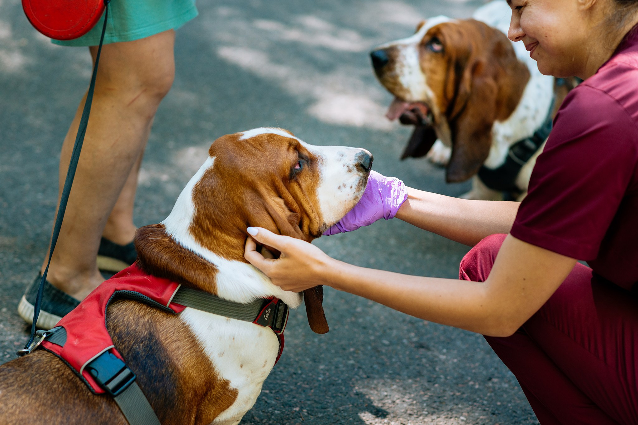 PETSHOP DAYS. Июнь 24. Репортажный фотограф в Санкт-Петербурге Анастасия Клёпова