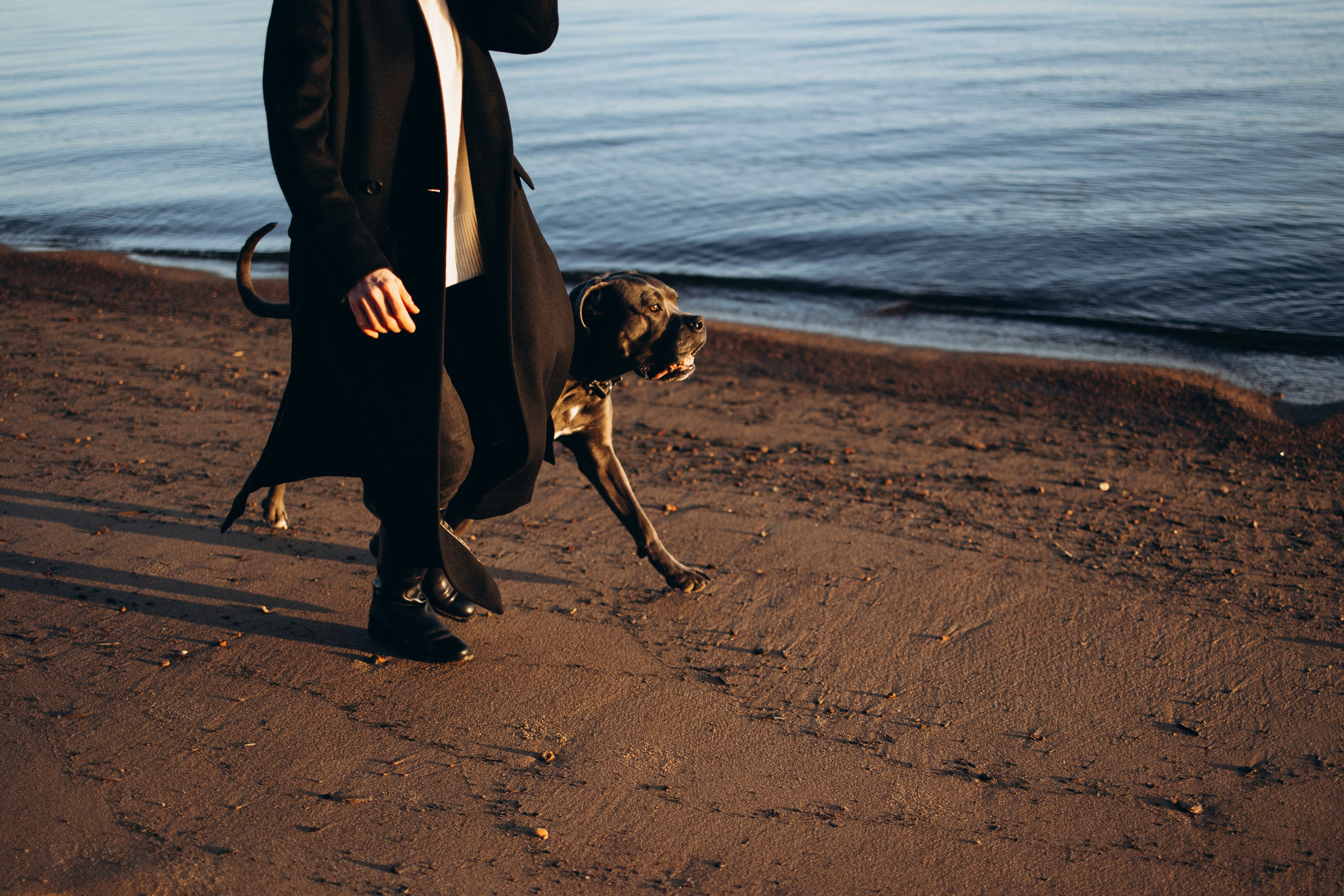 Анна и Лана. Фотограф — Анималист | Санкт-Петербург