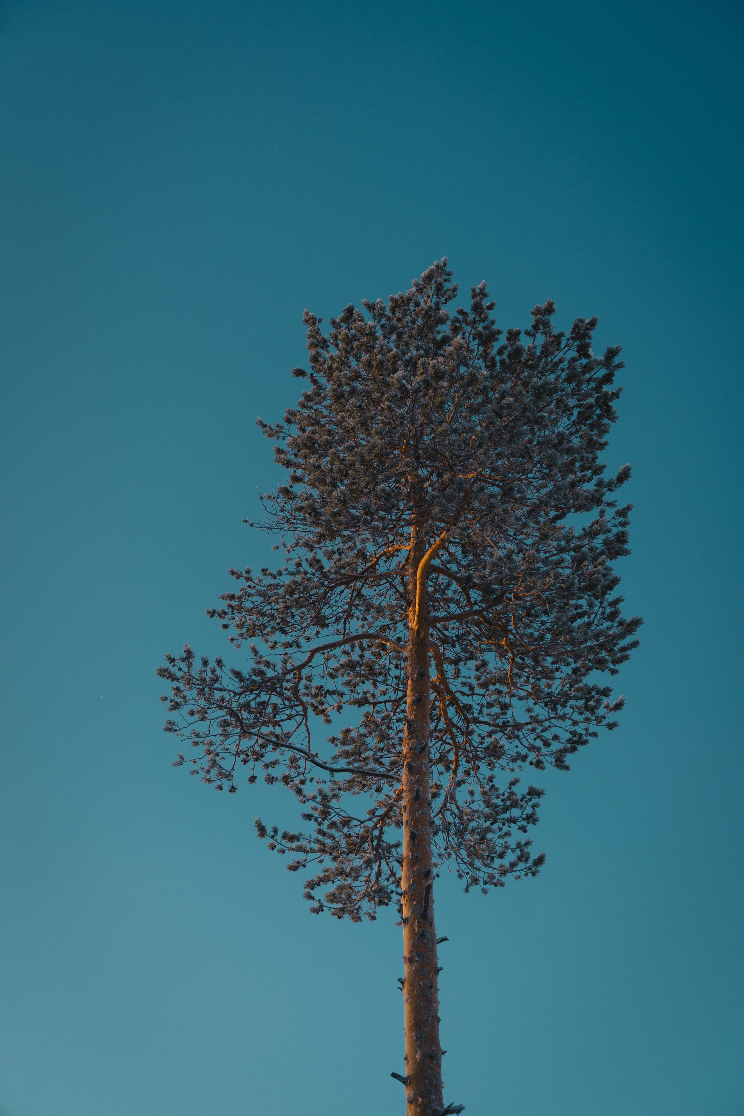 Губкинский и Когалым, Март 2024