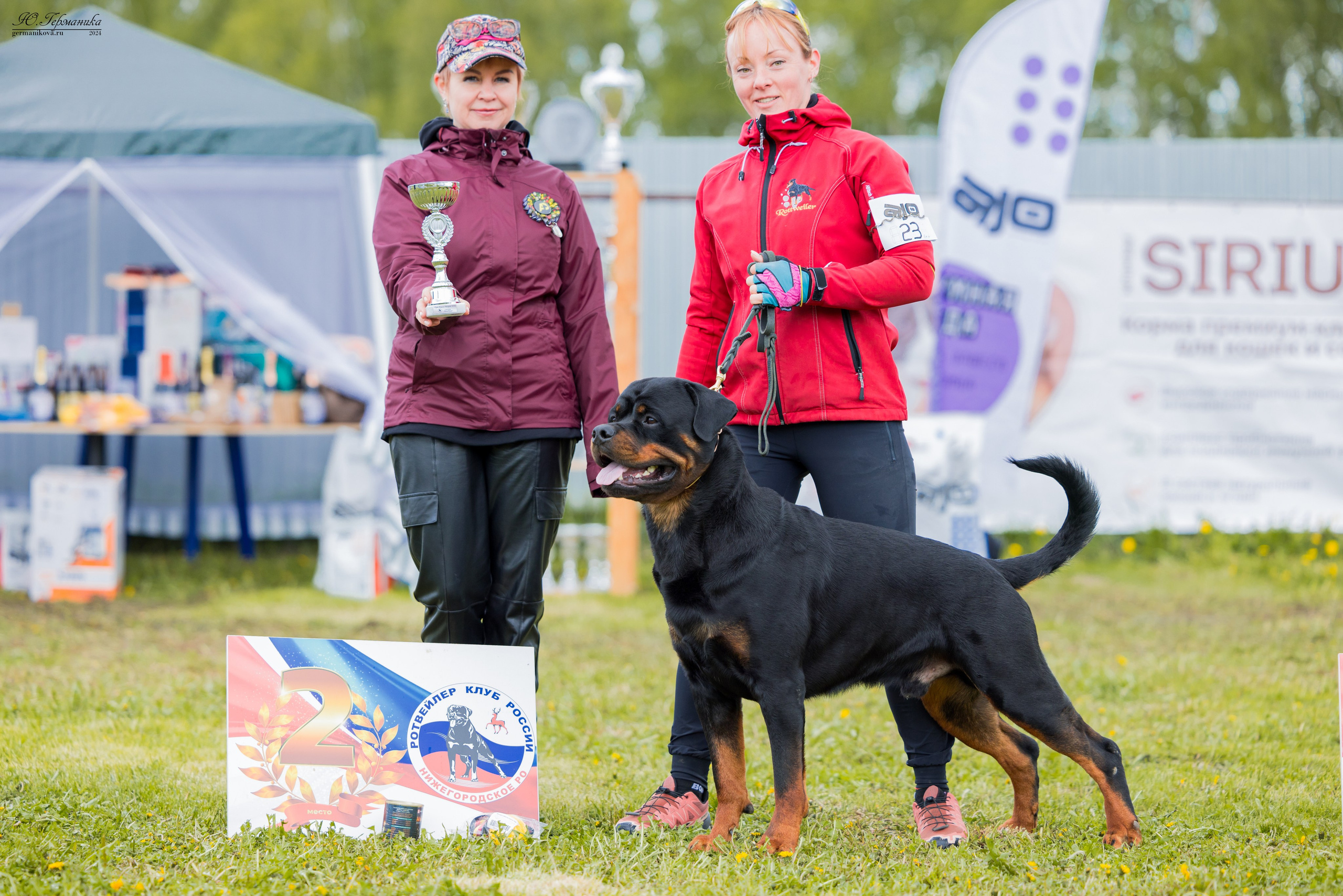 Нижний Новгород 11-12.05.2024 моно ротвейлеров. Фотограф-анималист Юлия Германика