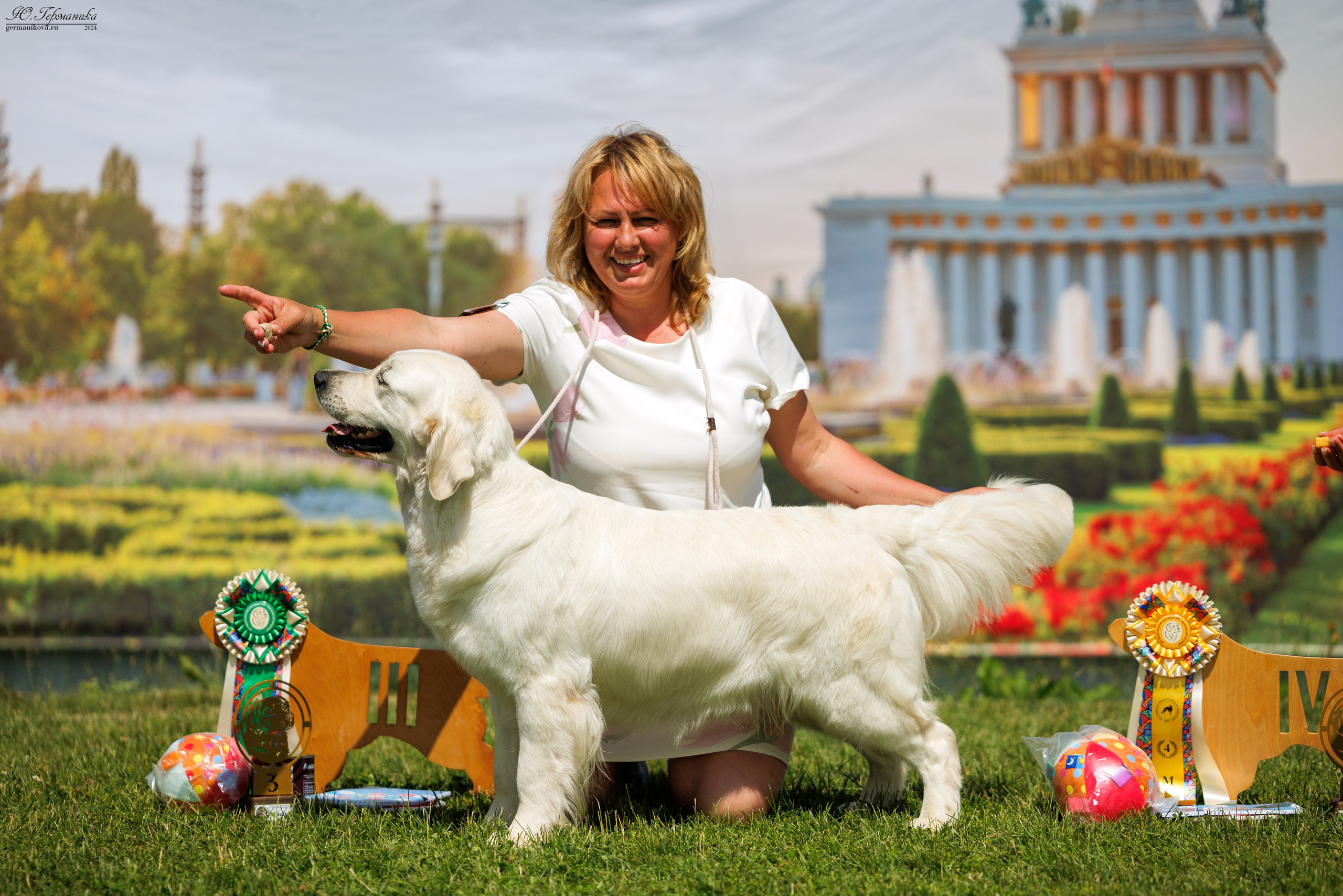 Голдены 15-16.06.2024. Фотограф-анималист Юлия Германика