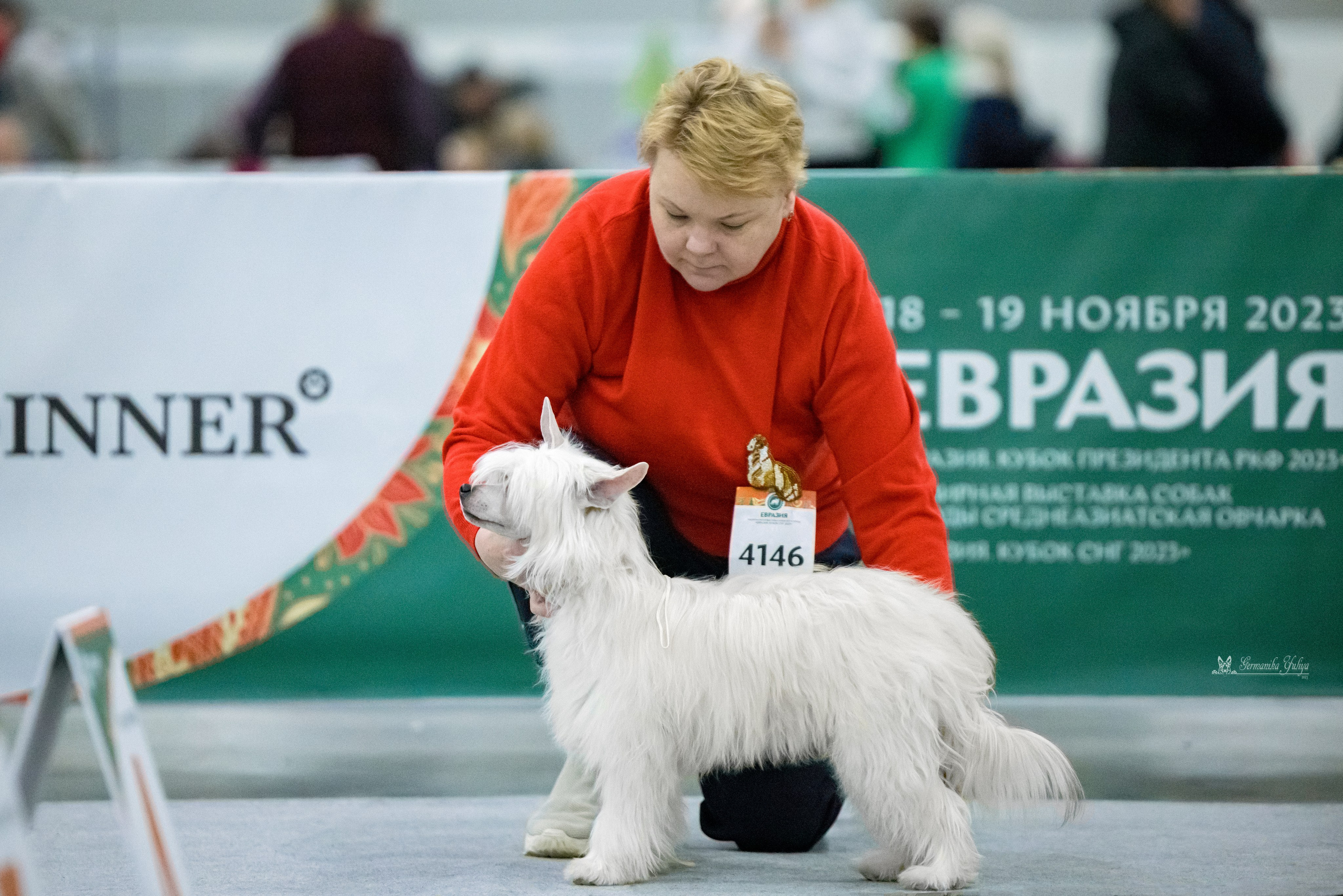 ЕВРАЗИЯ 18-19.11.2023. Фотограф-анималист Юлия Германика