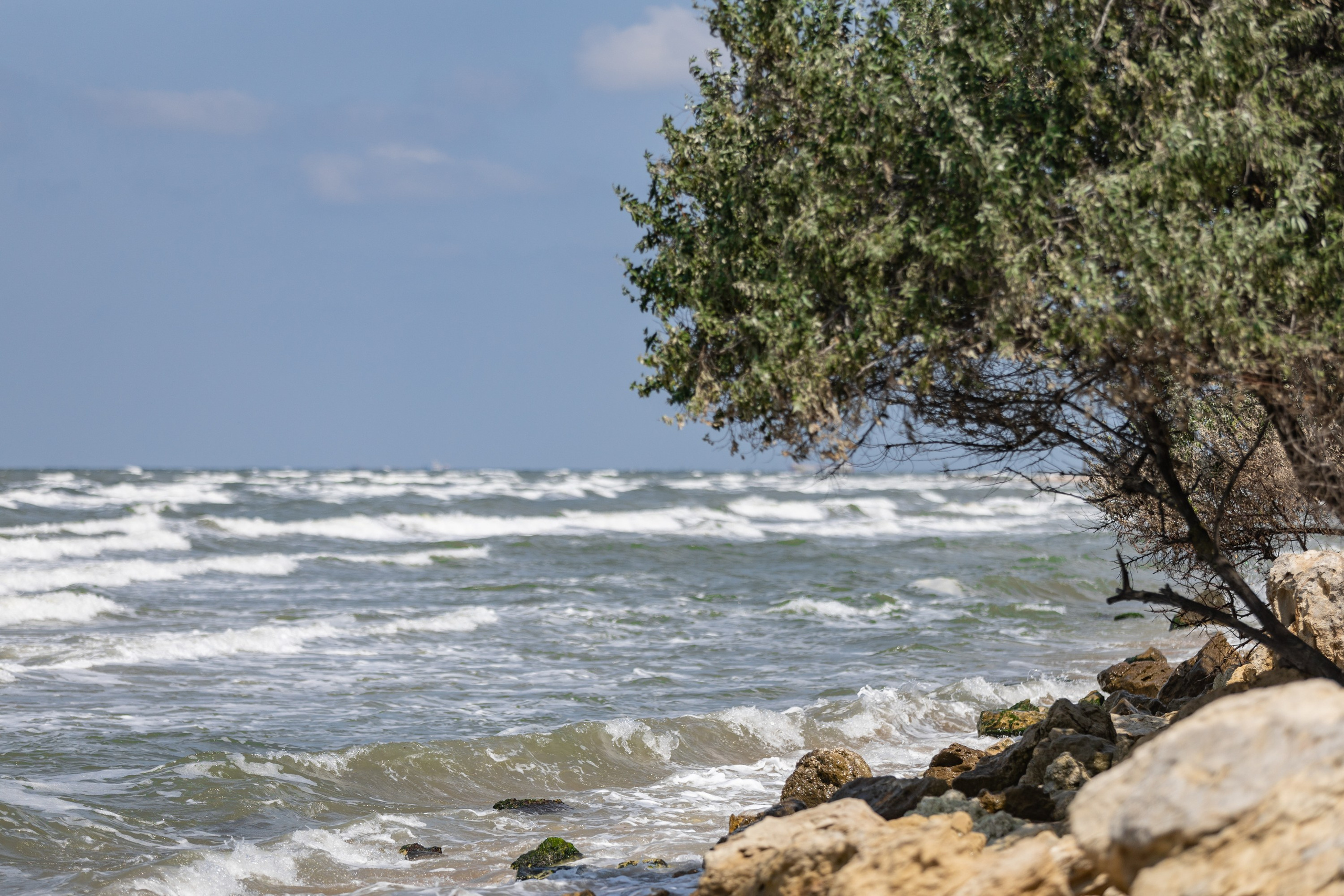 Азовское море. Фотограф Владимир Охрименко