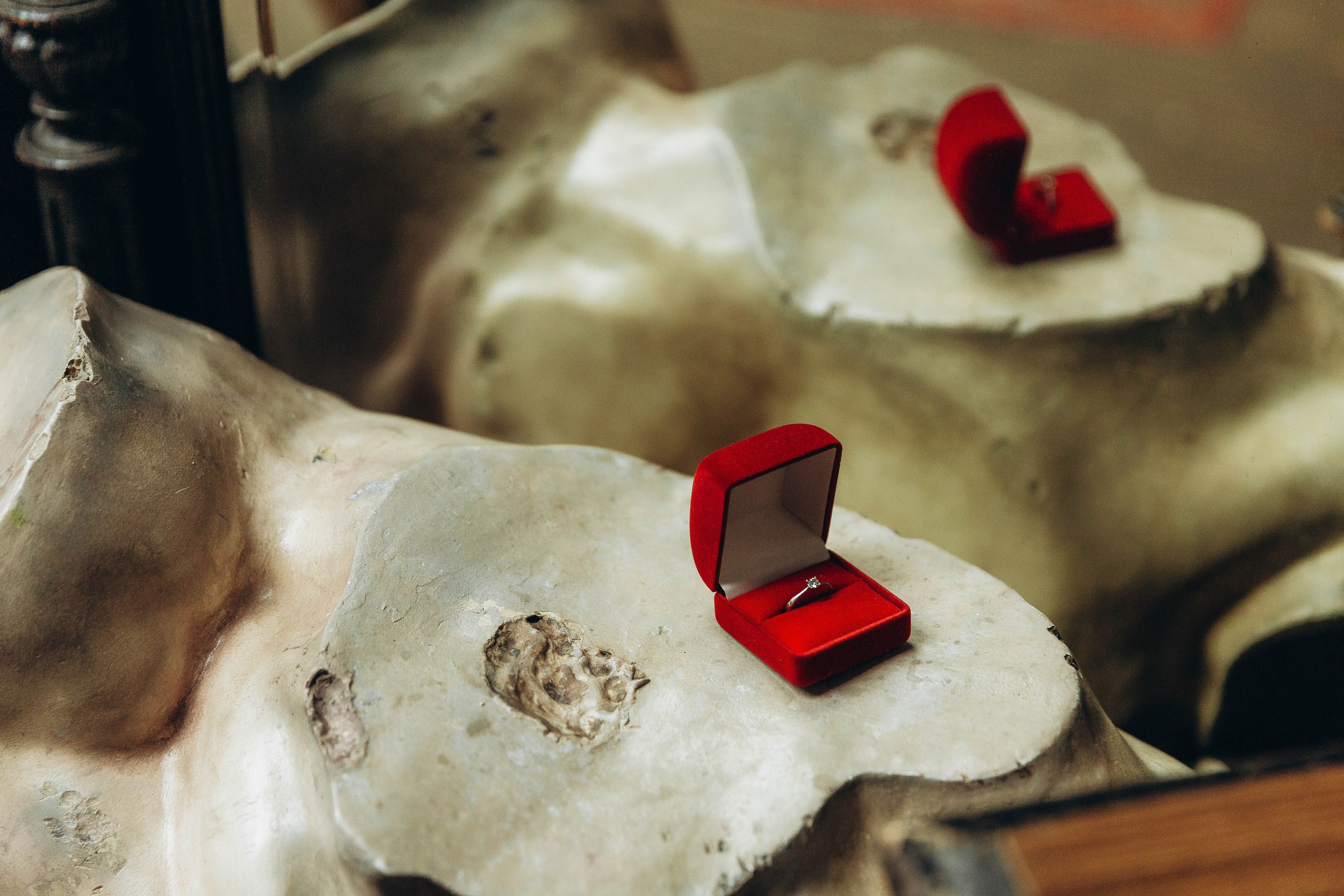 Саша и Даша. Katerina Schastlivaya