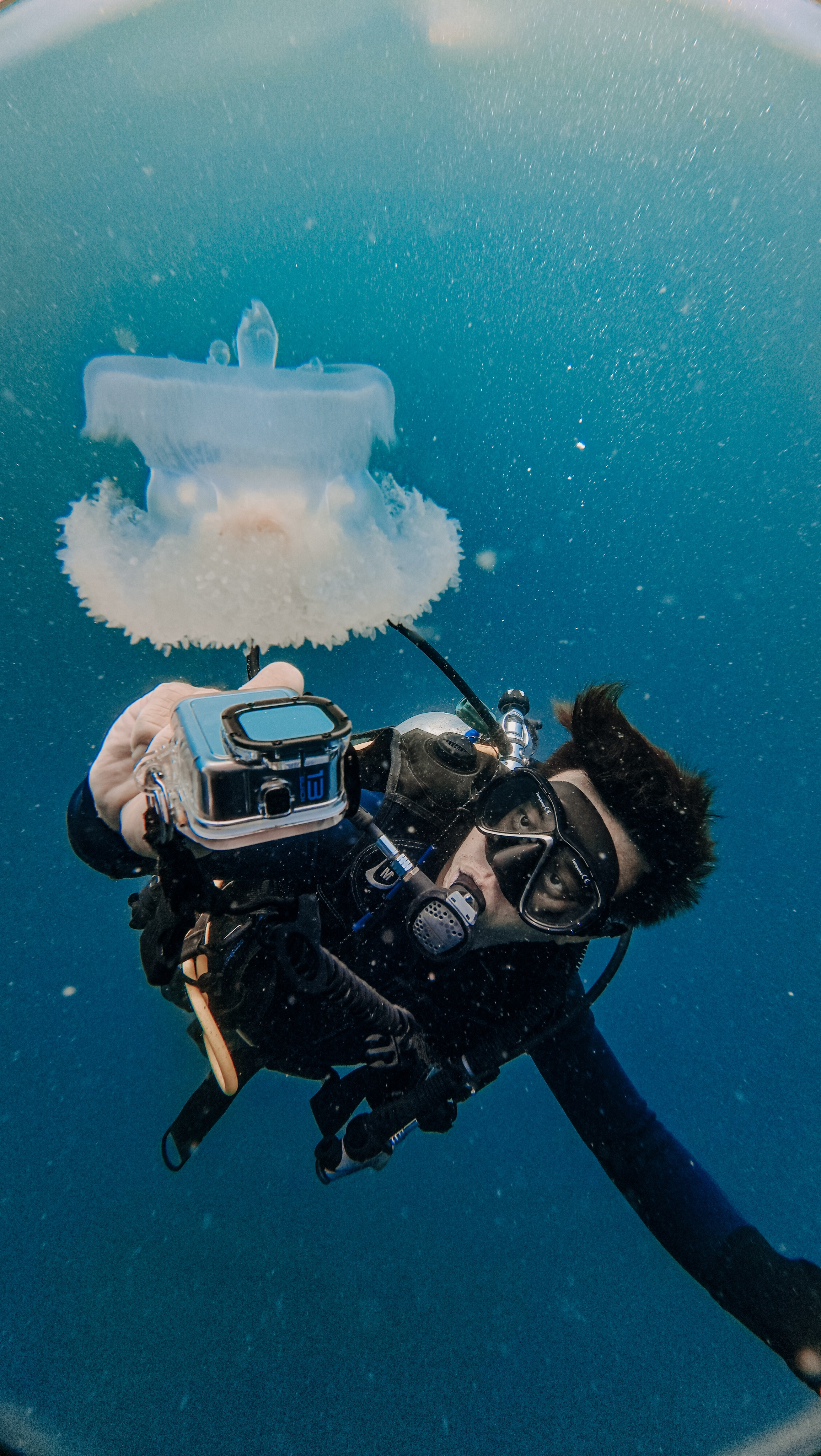 Галерея. Дайвинг во Вьетнаме
