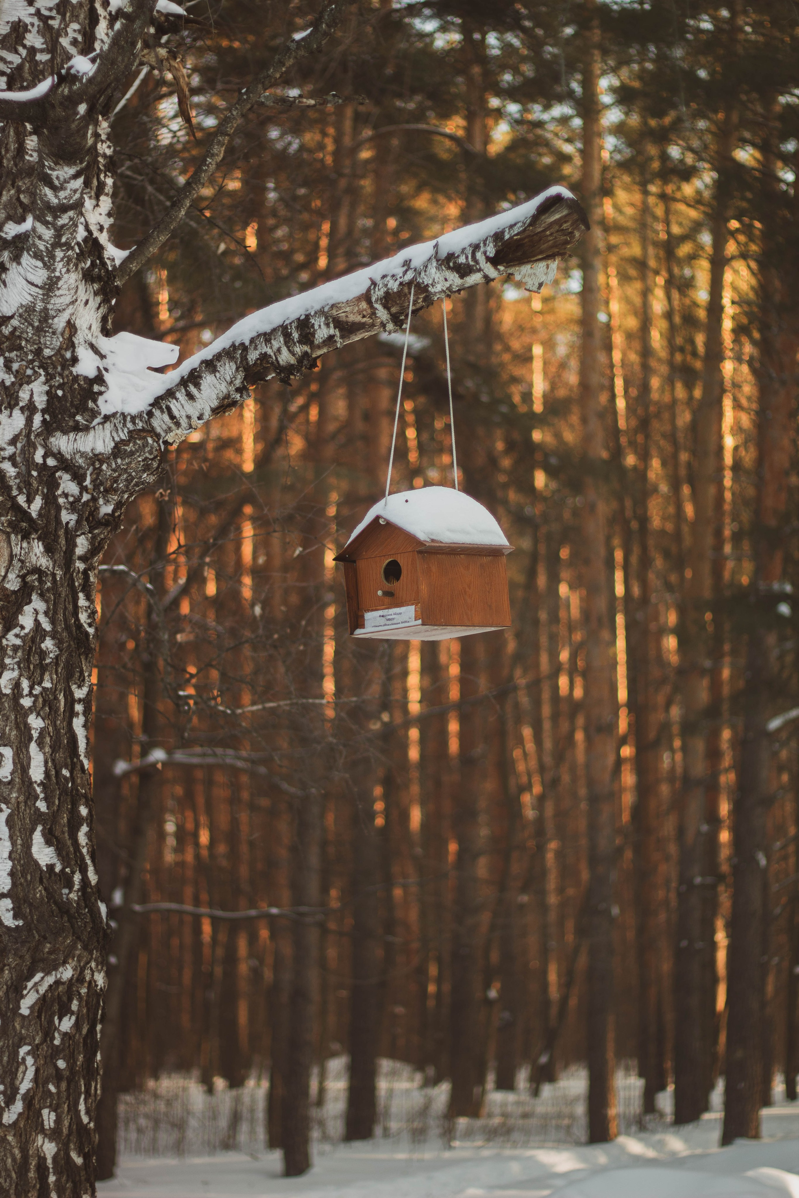 Russian Girl. Фотограф в Уфе Валиева Лилия