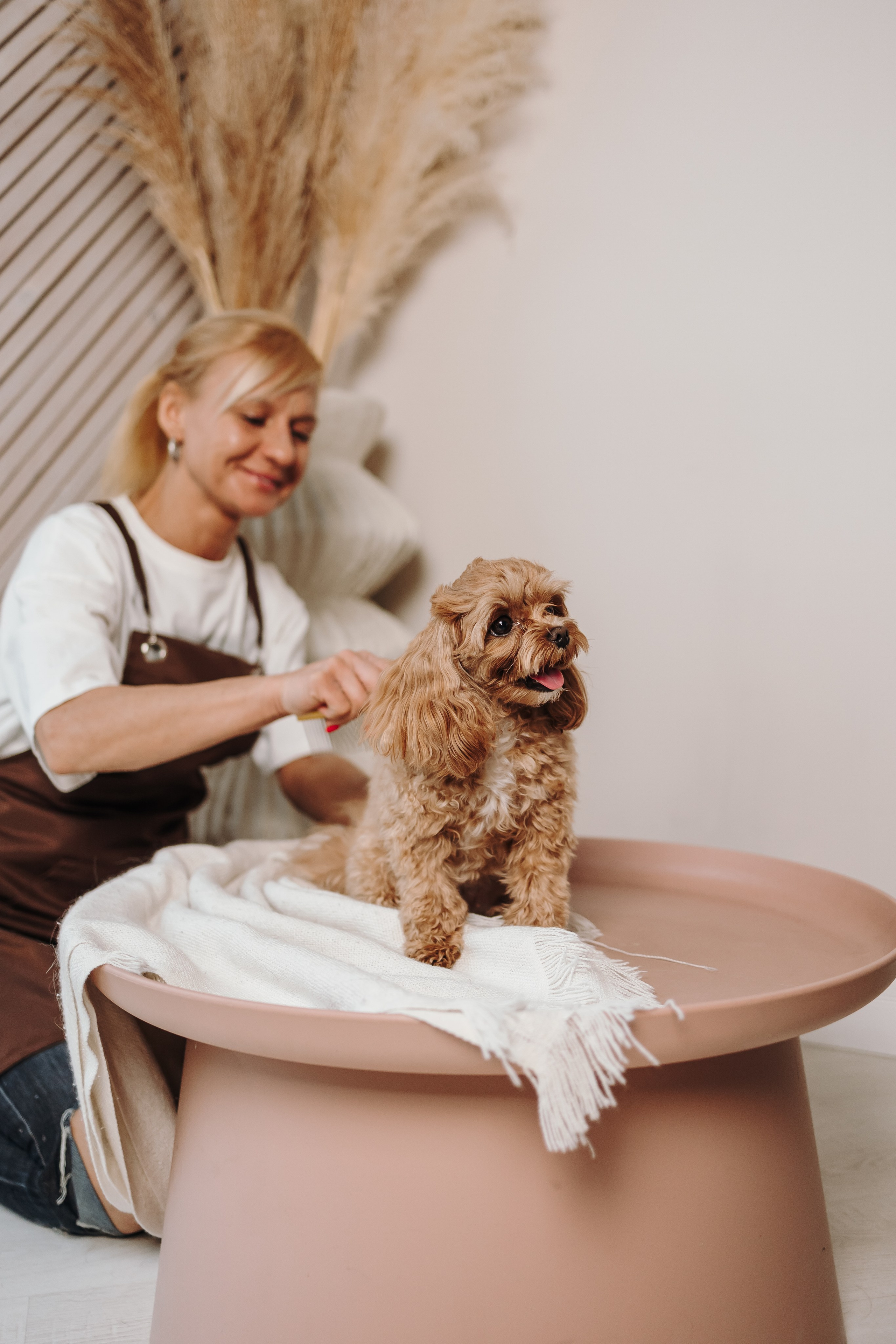 Груминг. Фотограф-анималист в Санкт-Петербурге Алина Яхонт