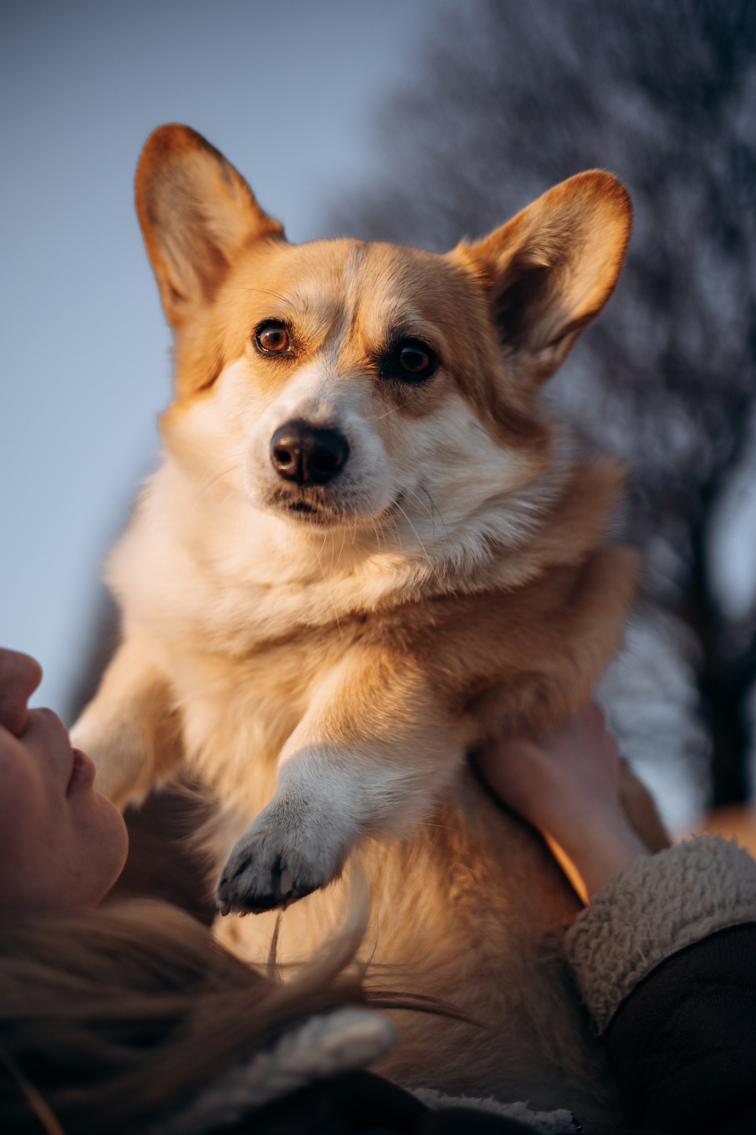 Настя и Ева. Фотограф — Анималист | Санкт-Петербург