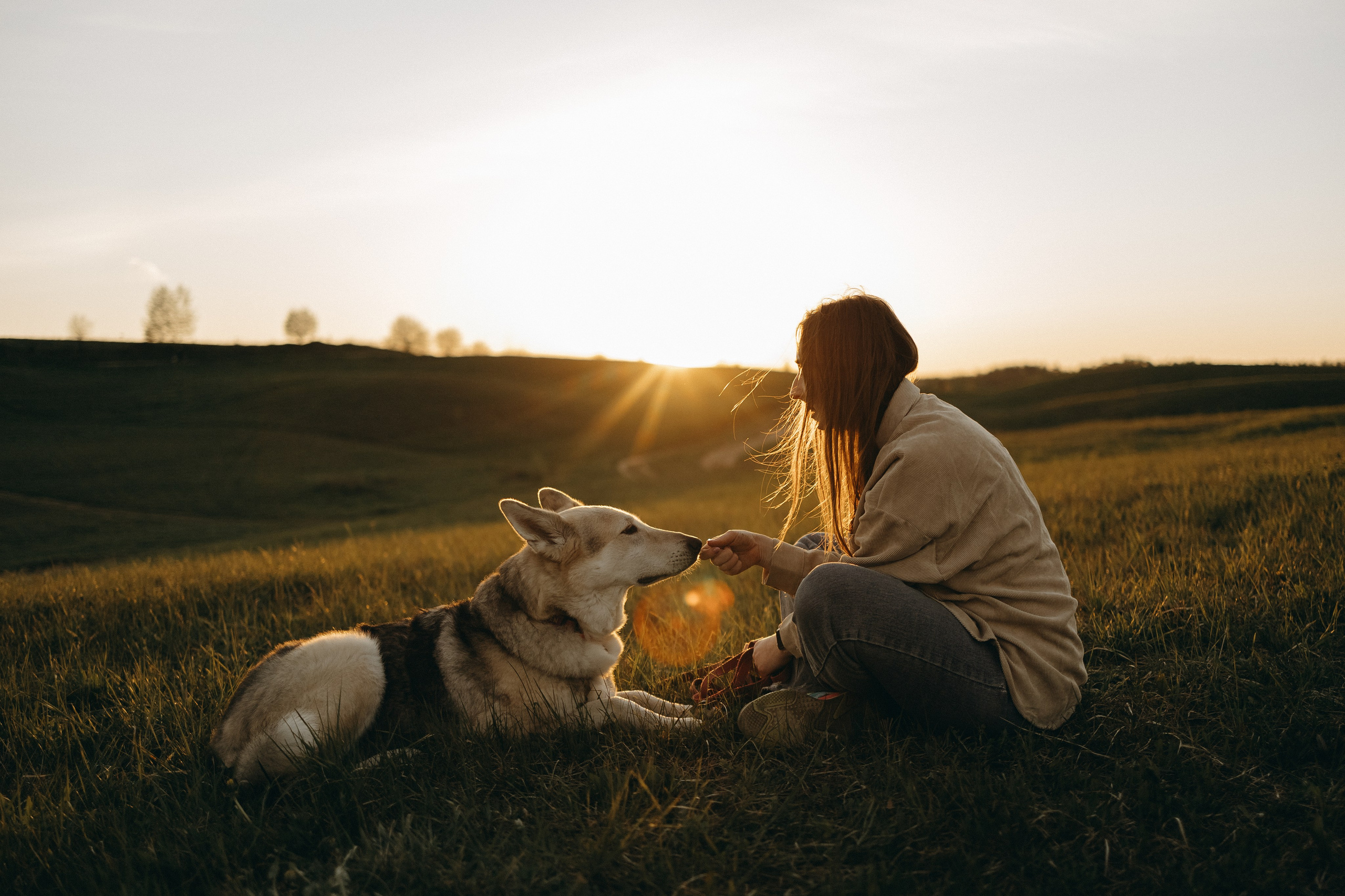Саша и Зельда. Фотограф — Анималист | Санкт-Петербург
