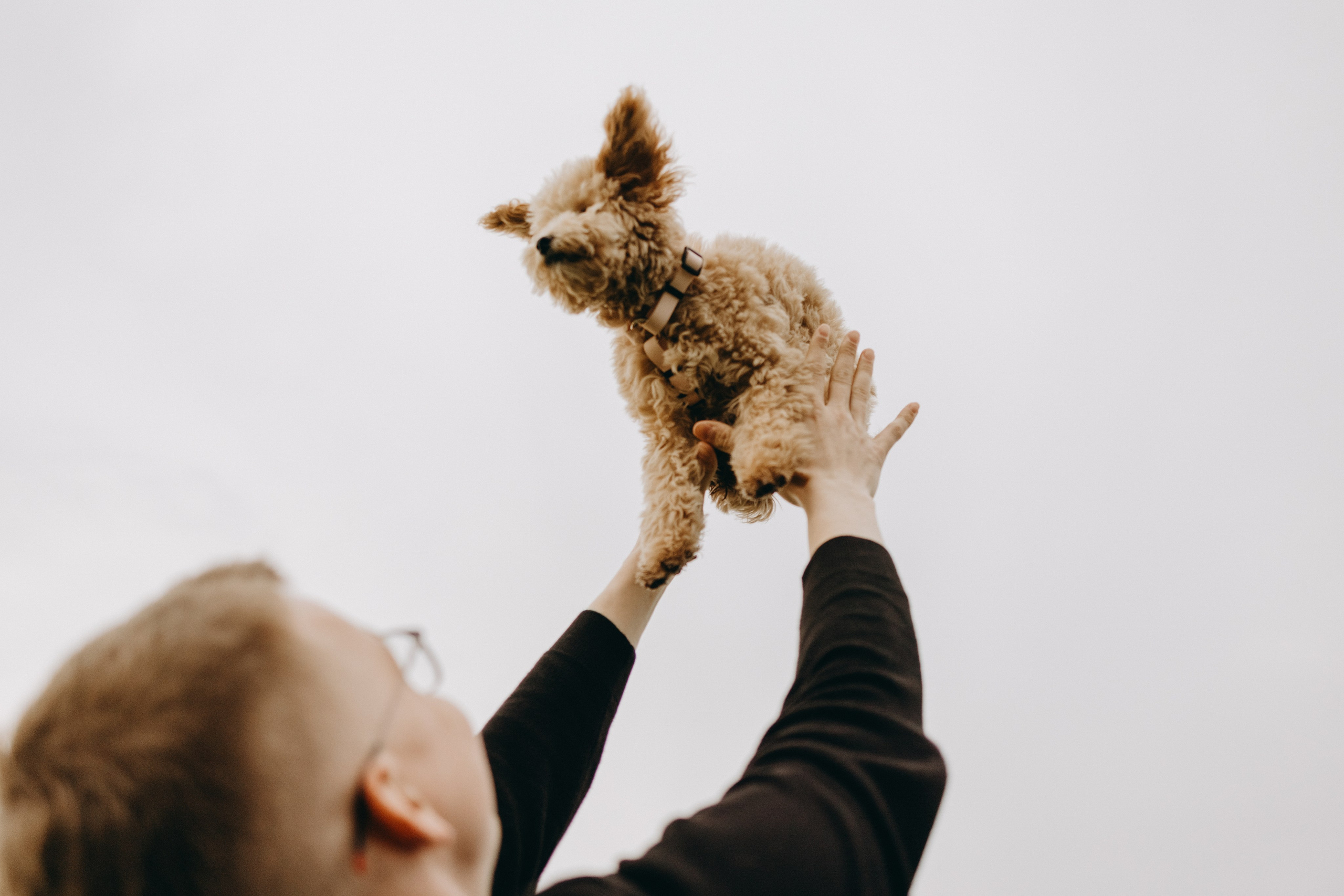 Мия и ее семья. Фотограф — Анималист | Санкт-Петербург