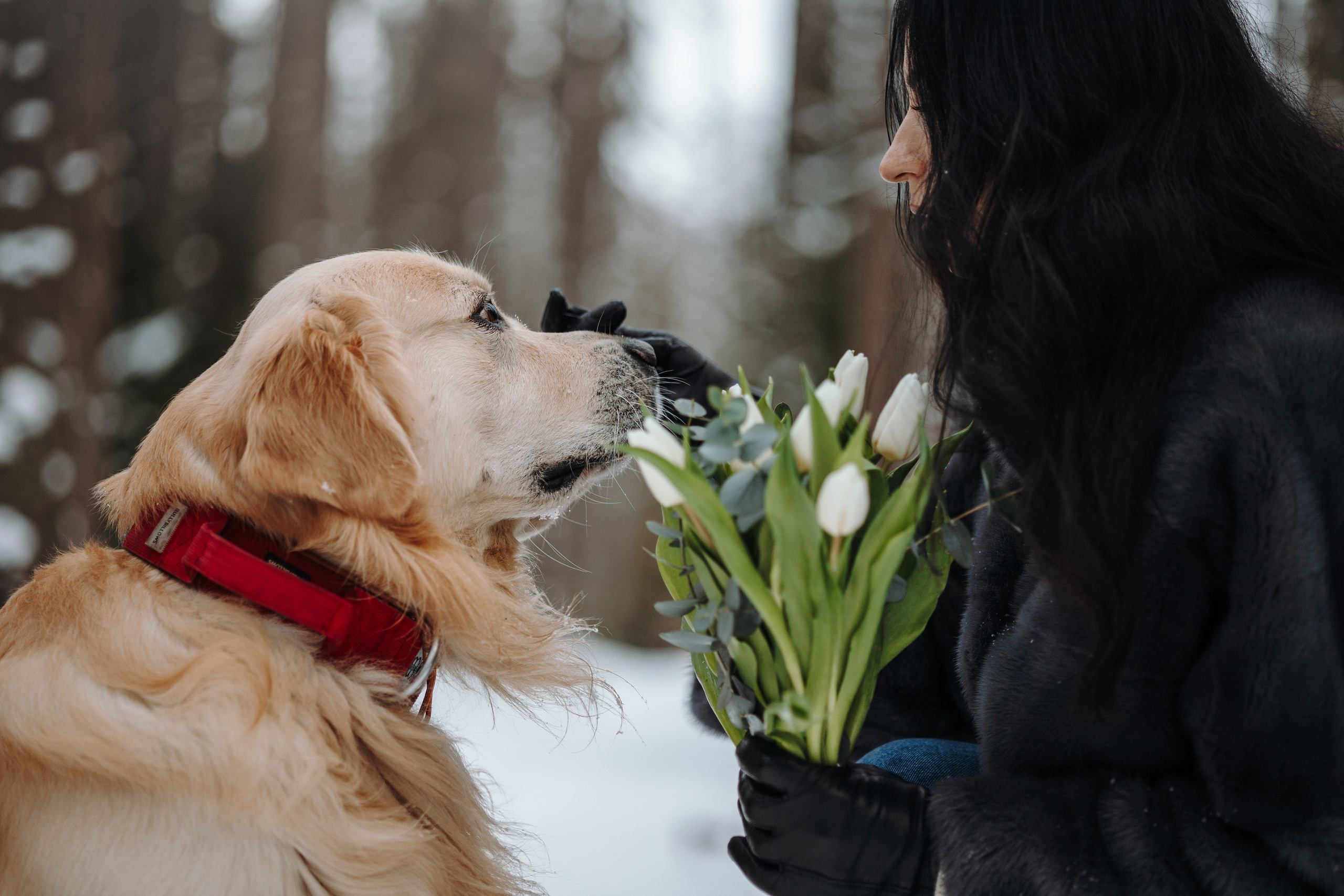 Вика и Лёва. Фотограф — Анималист | Санкт-Петербург